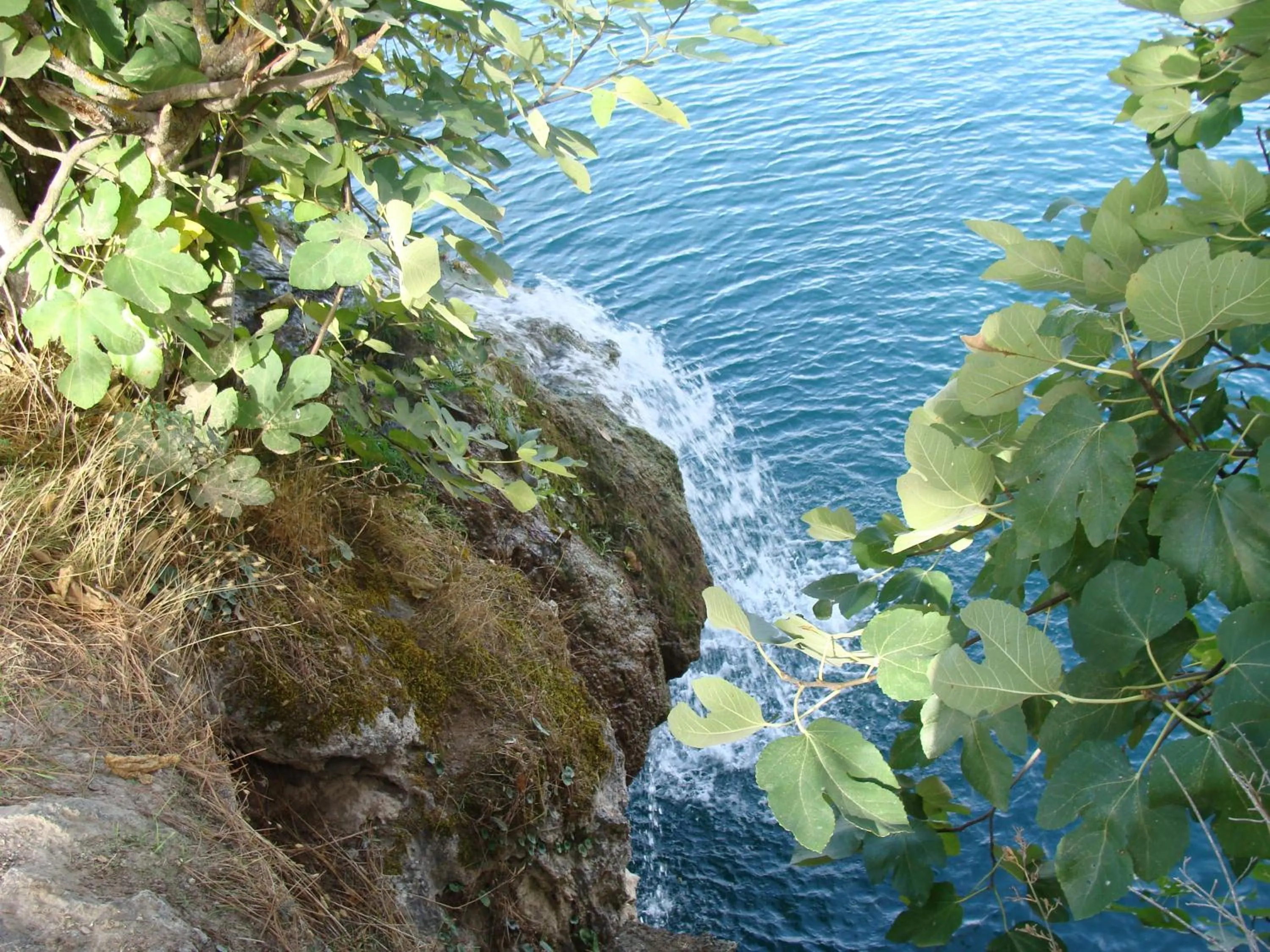 Other in Doña Ruidera