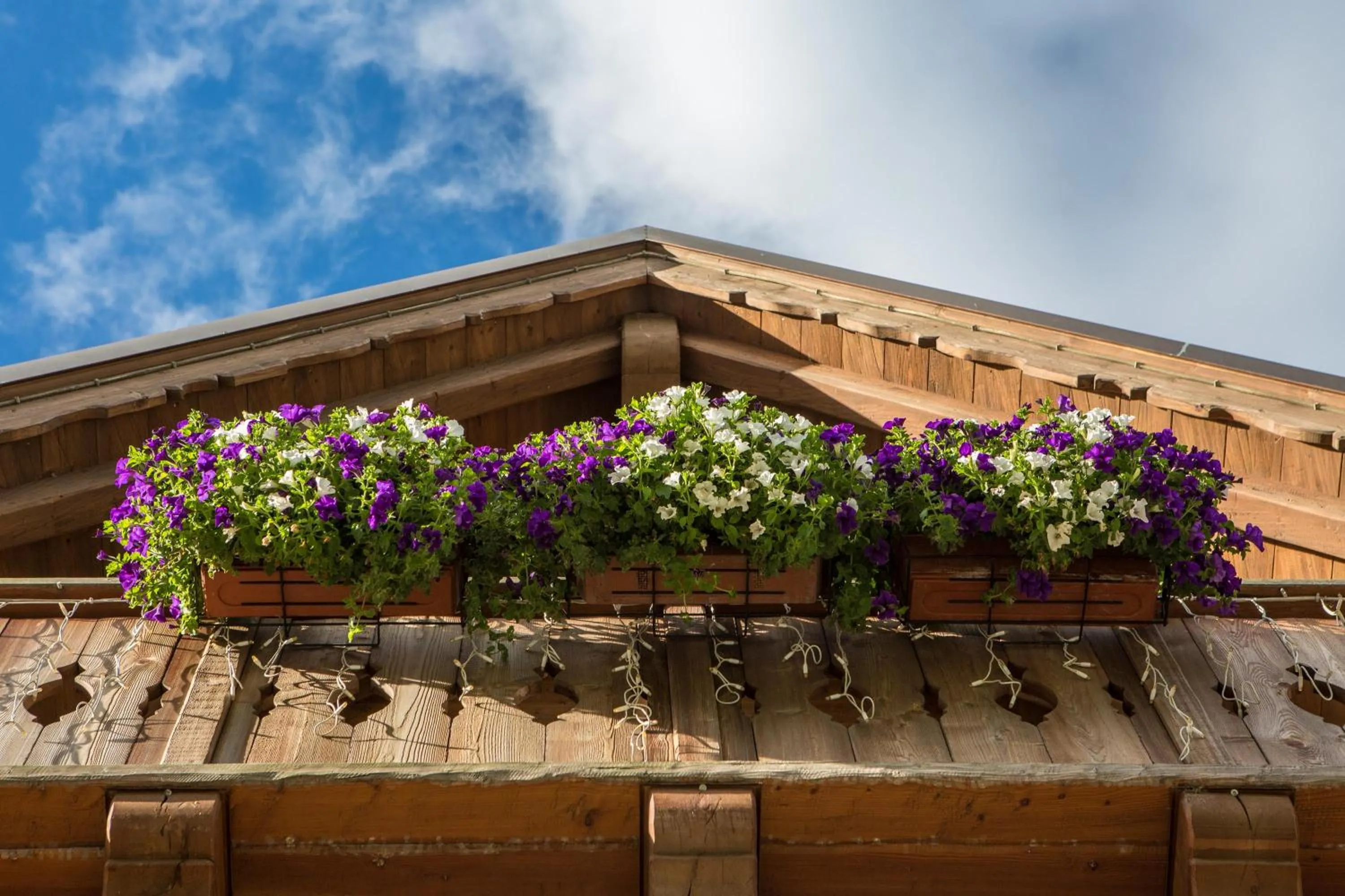 Balcony/Terrace in Agriturismo Rini