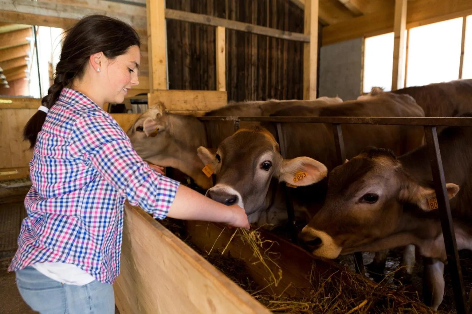 Pets in Agriturismo Rini