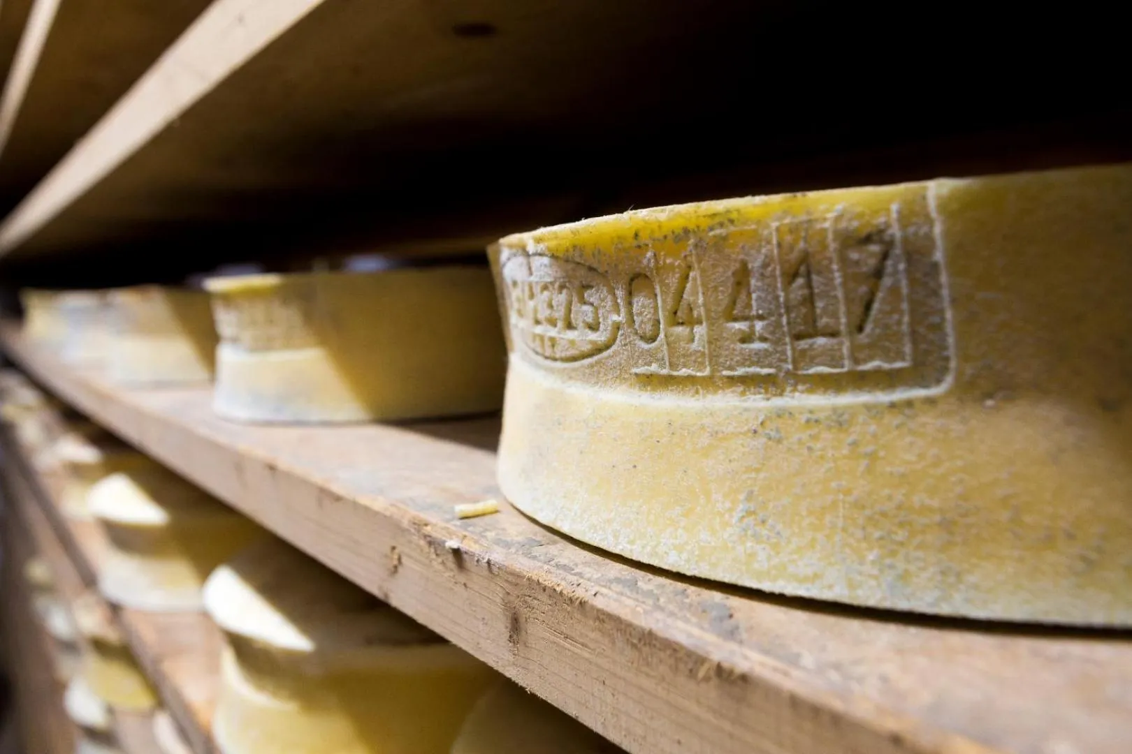 Activities in Agriturismo Rini