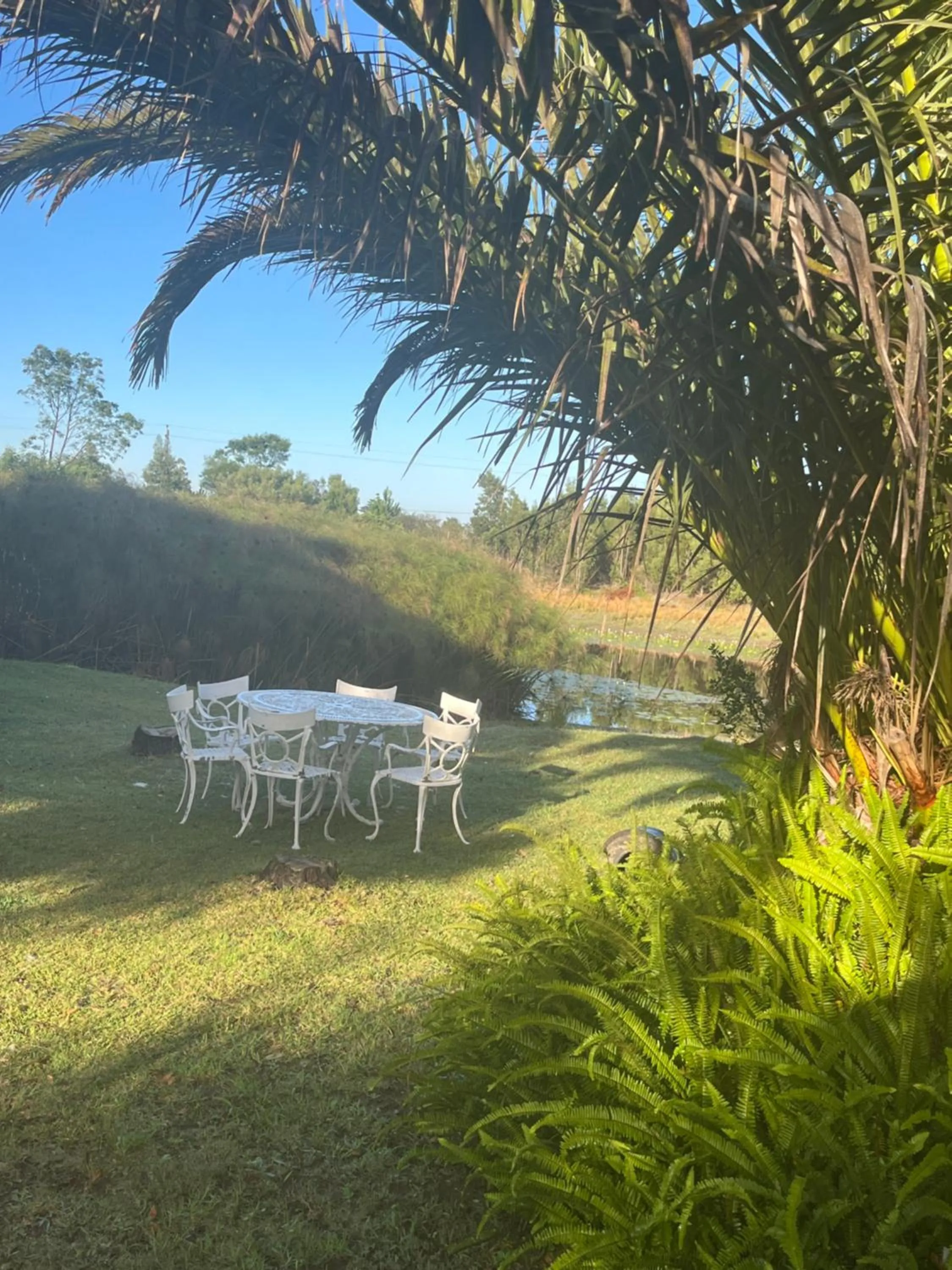 Day in Stoneridge farm