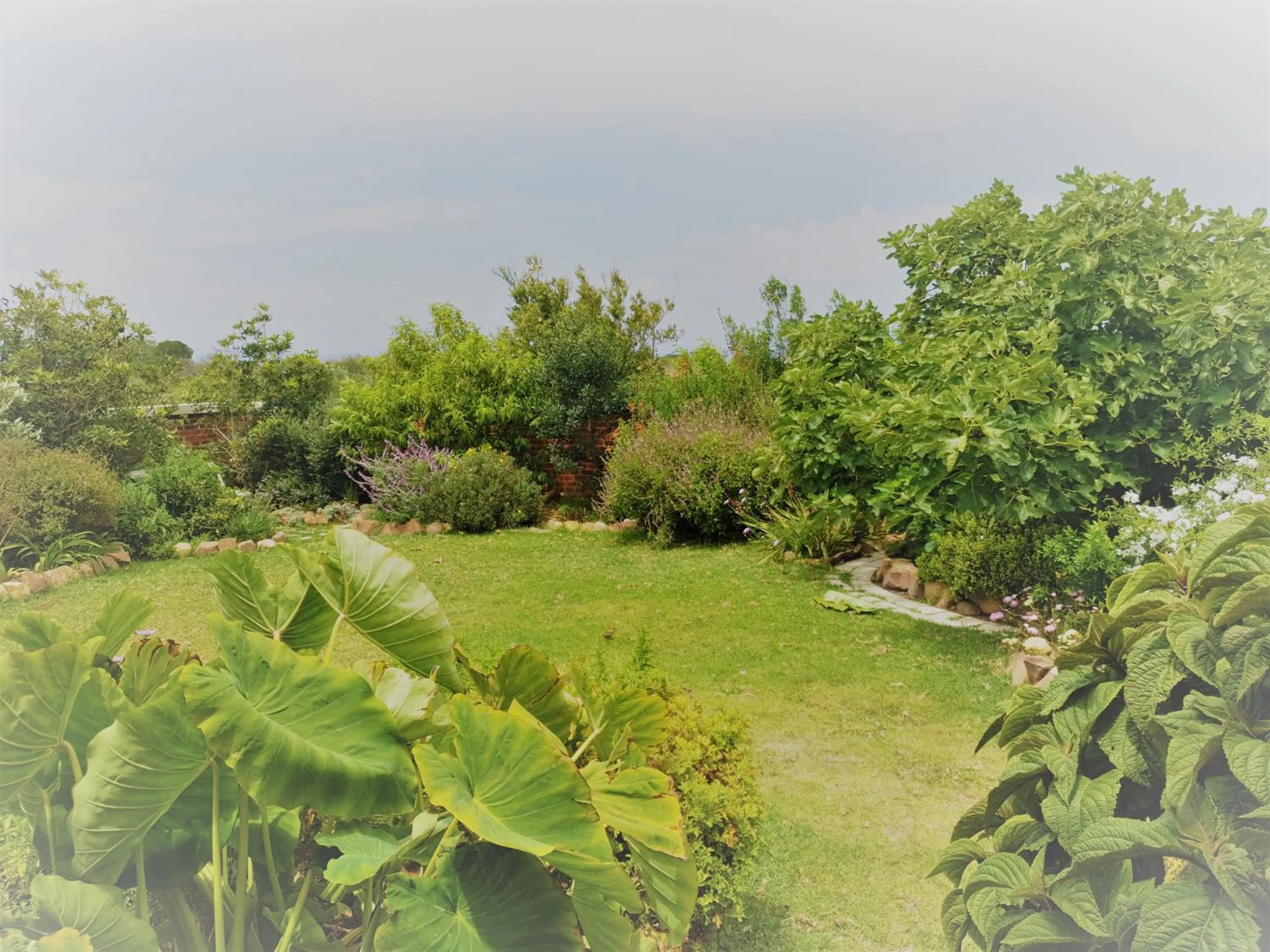 BBQ facilities in Stoneridge farm