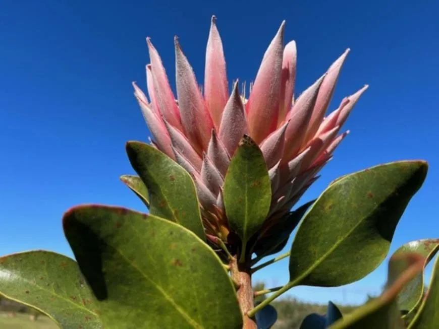 Spring in Stoneridge farm