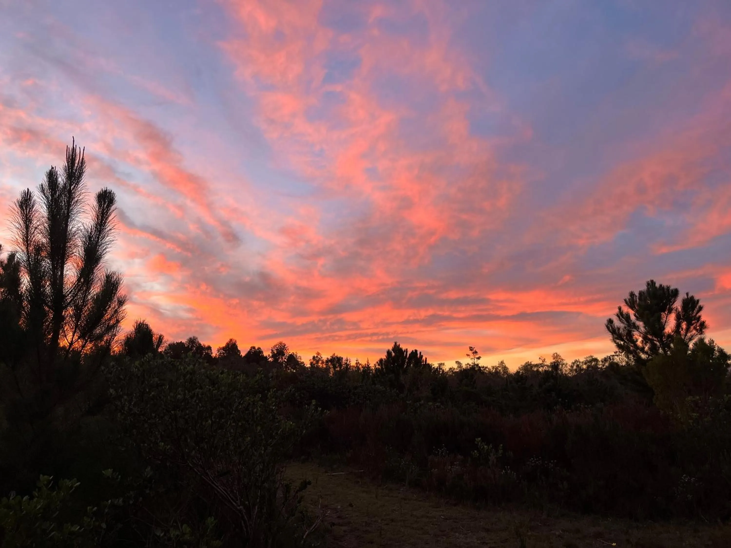 Natural landscape in Stoneridge farm