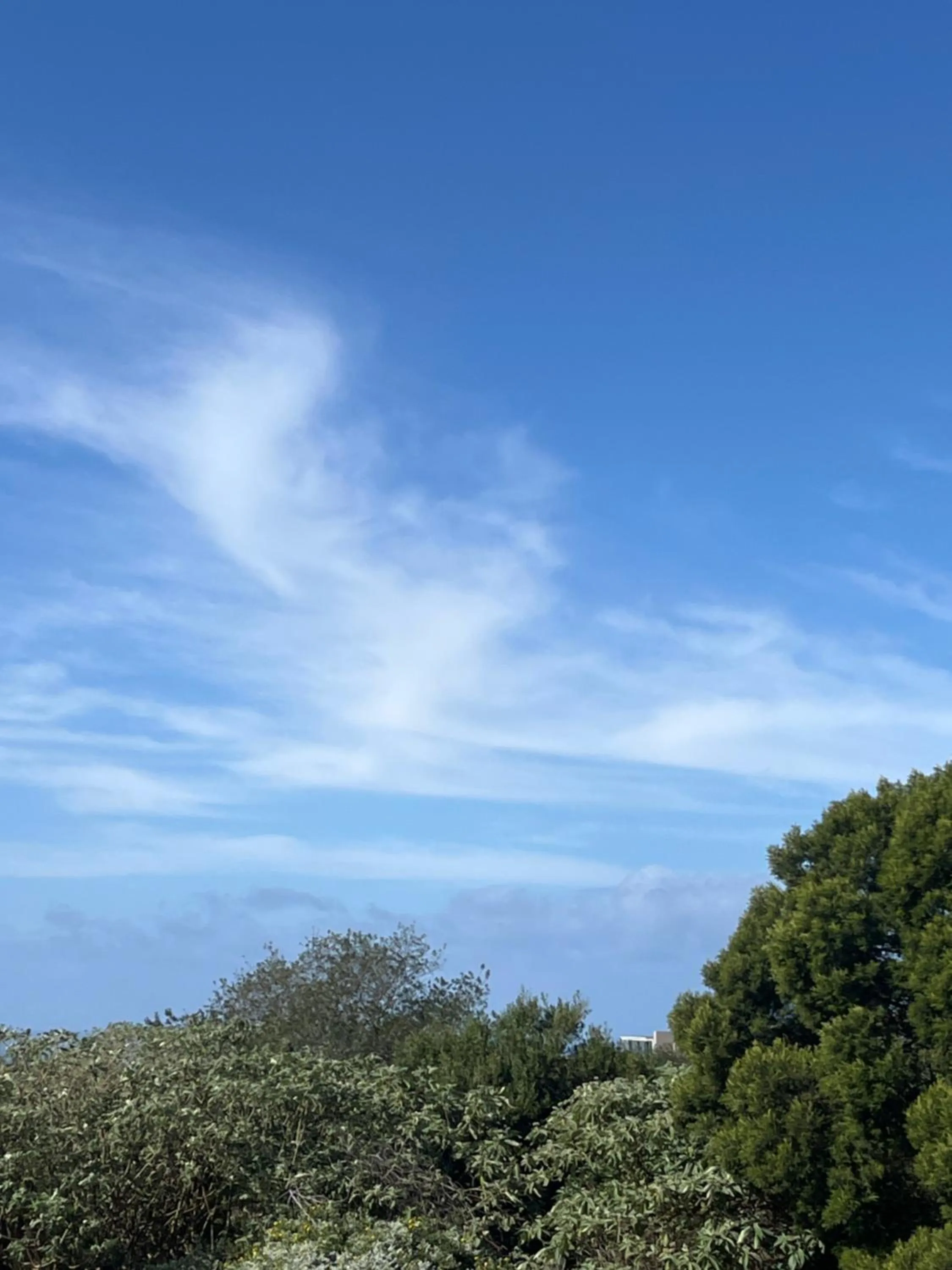 Sea view in Stoneridge farm