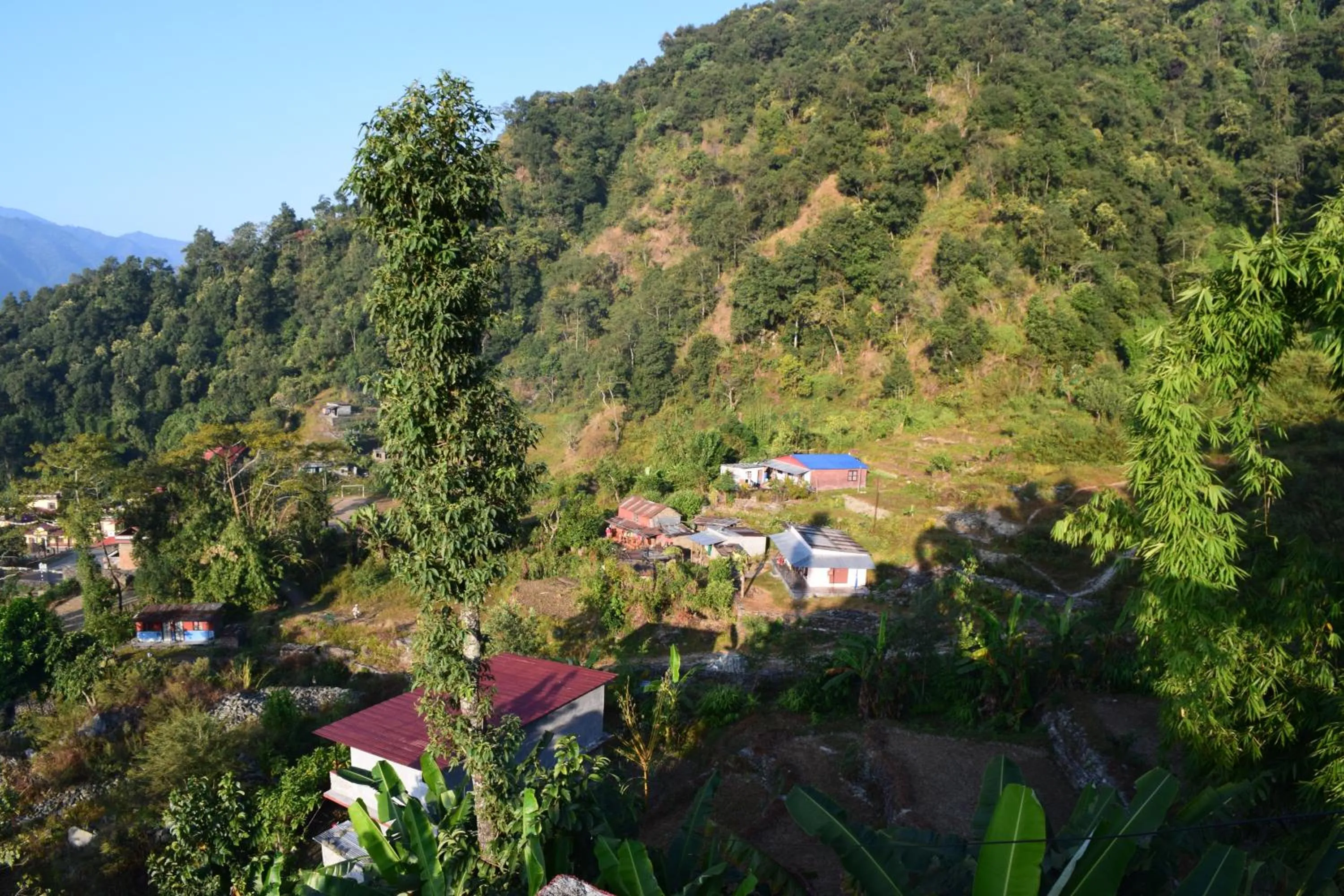 Gorgeous Village Guest House