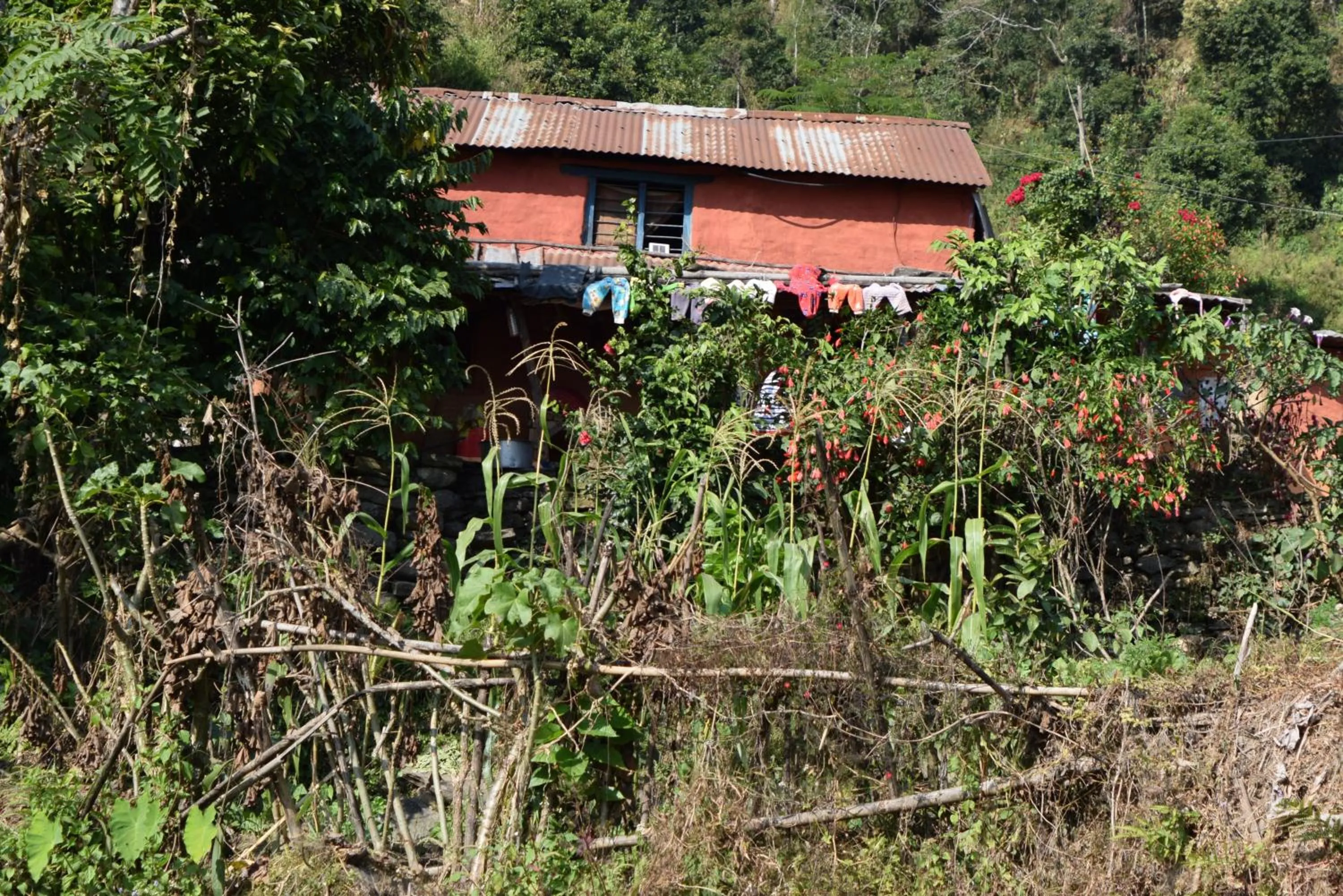 Restaurant/places to eat in Gorgeous Village Guest House