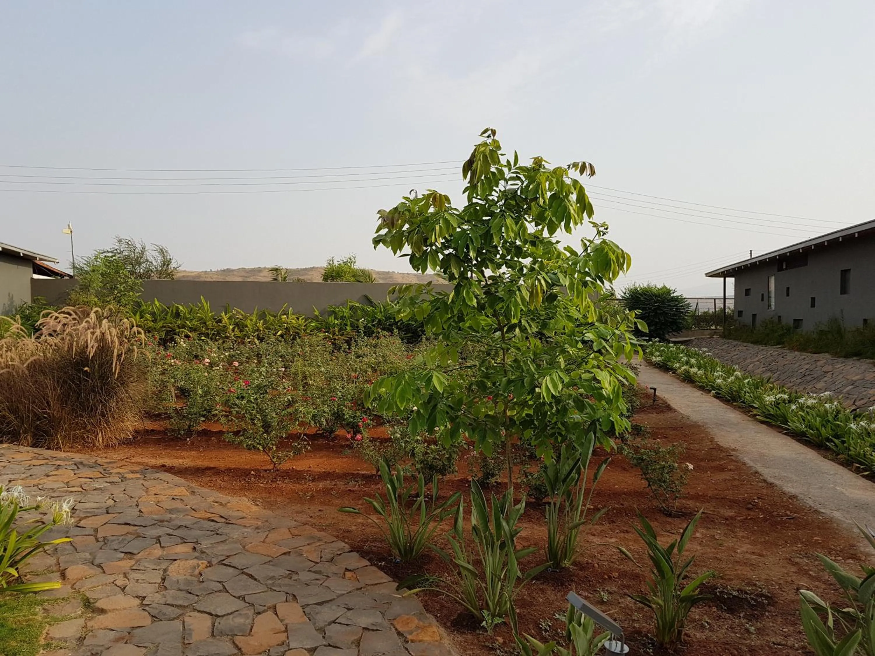 Garden in Beyond by Sula