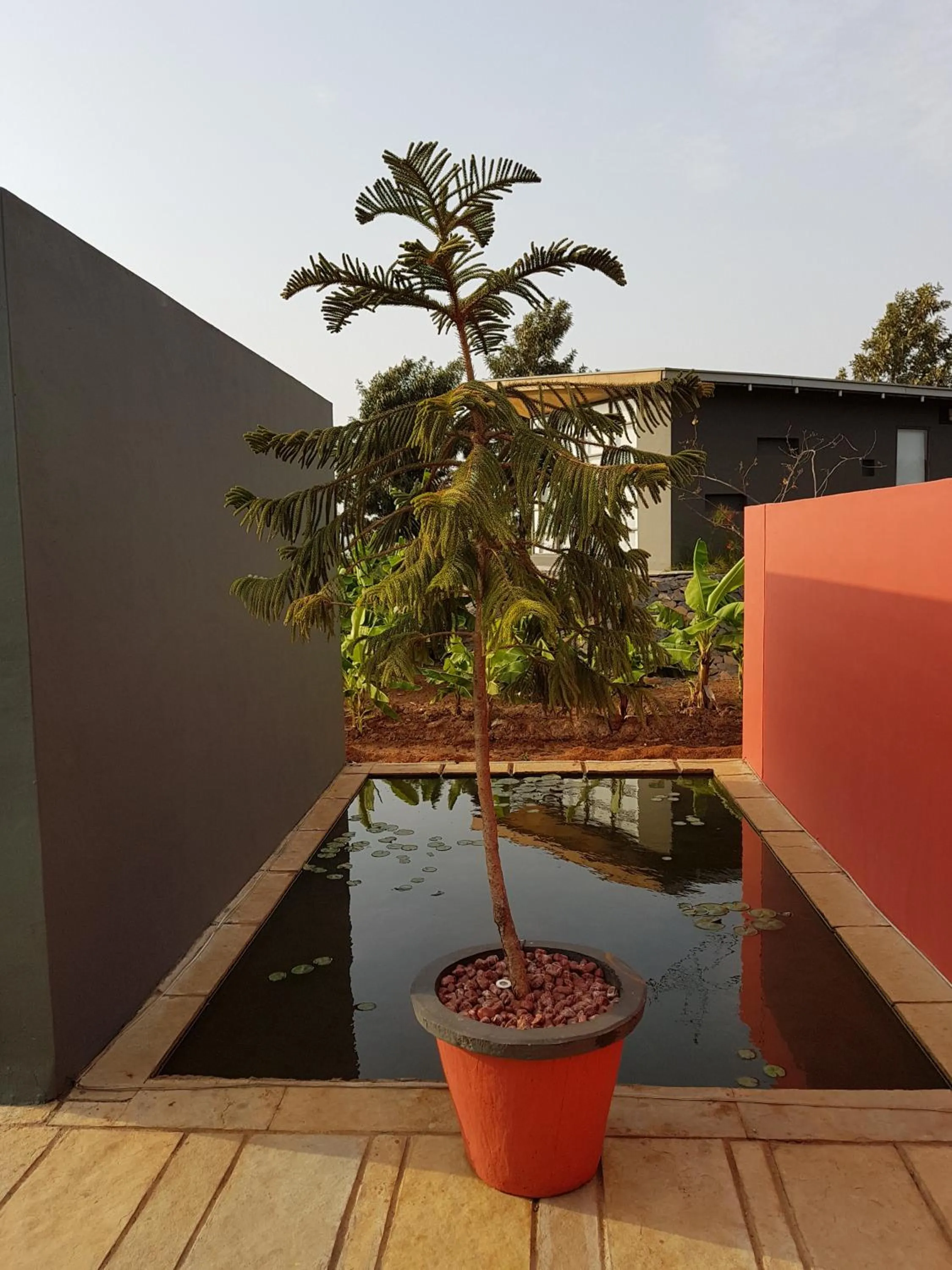Property building in Beyond by Sula