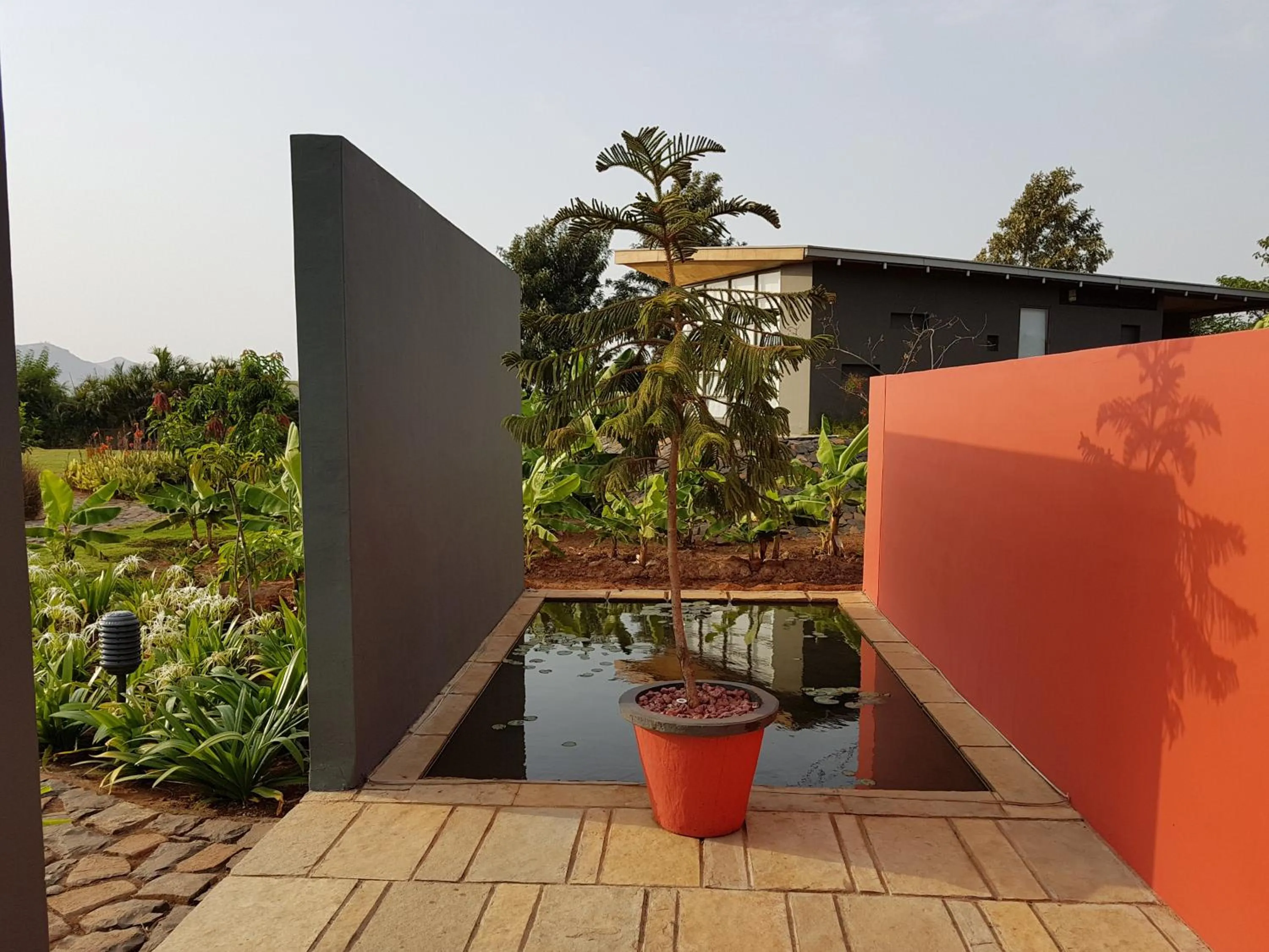 Garden in Beyond by Sula