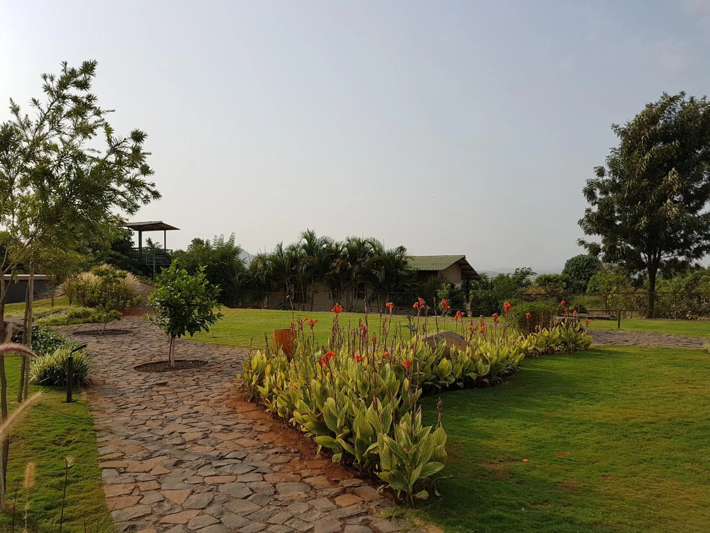 Natural landscape in Beyond by Sula