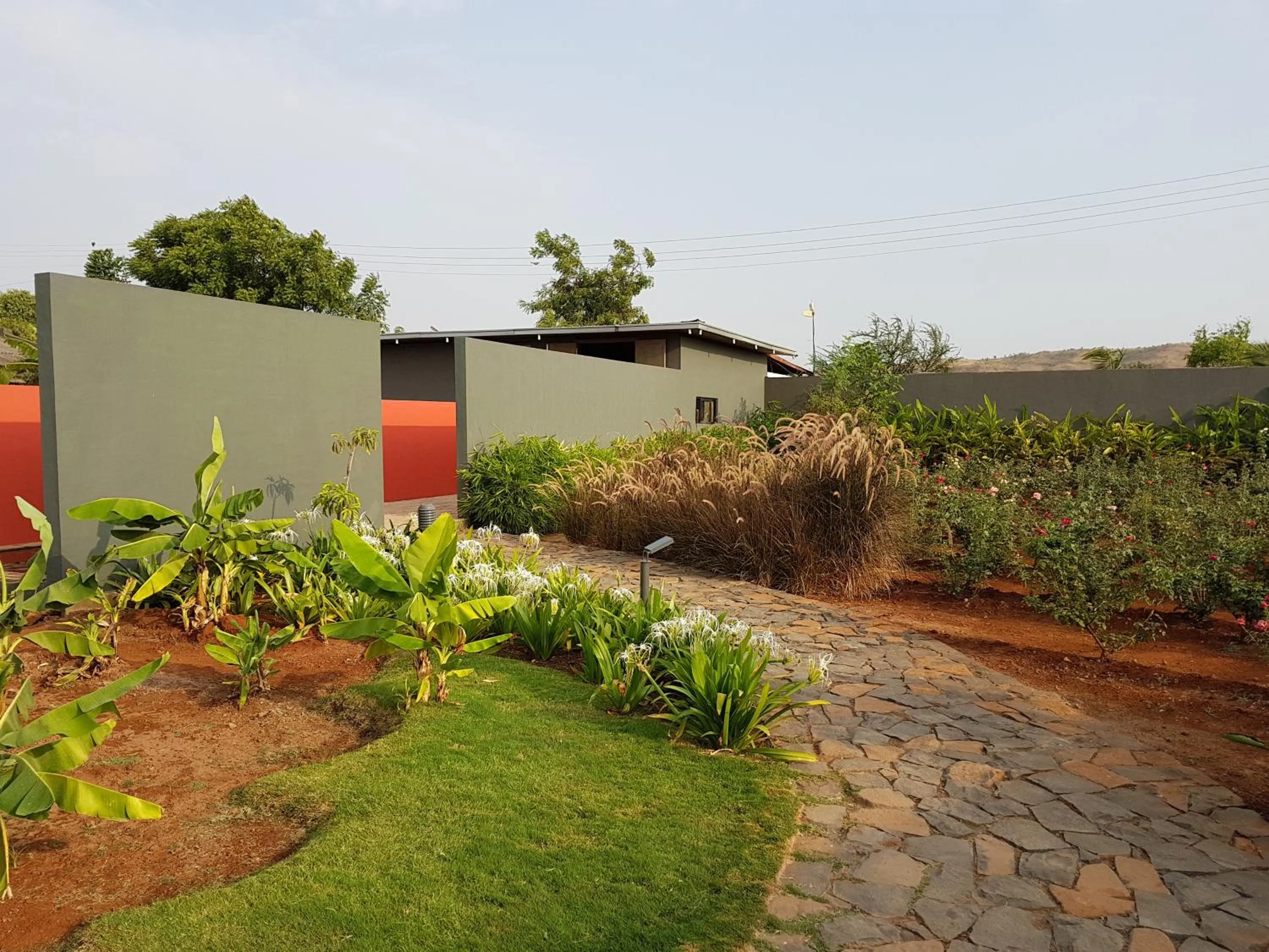 Garden in Beyond by Sula