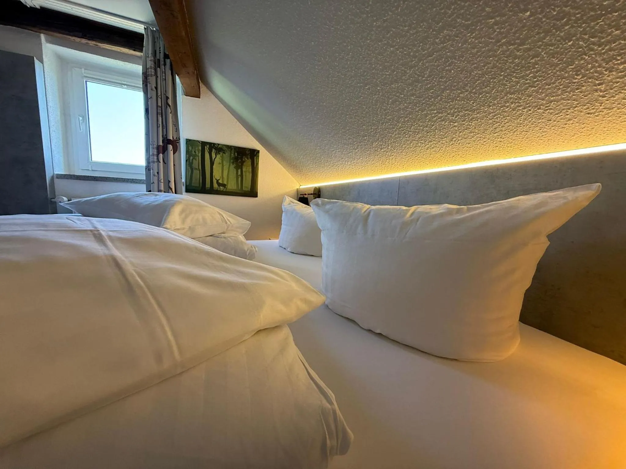 Photo of the whole room, Bed in Hotel Miriquidi All Inklusive