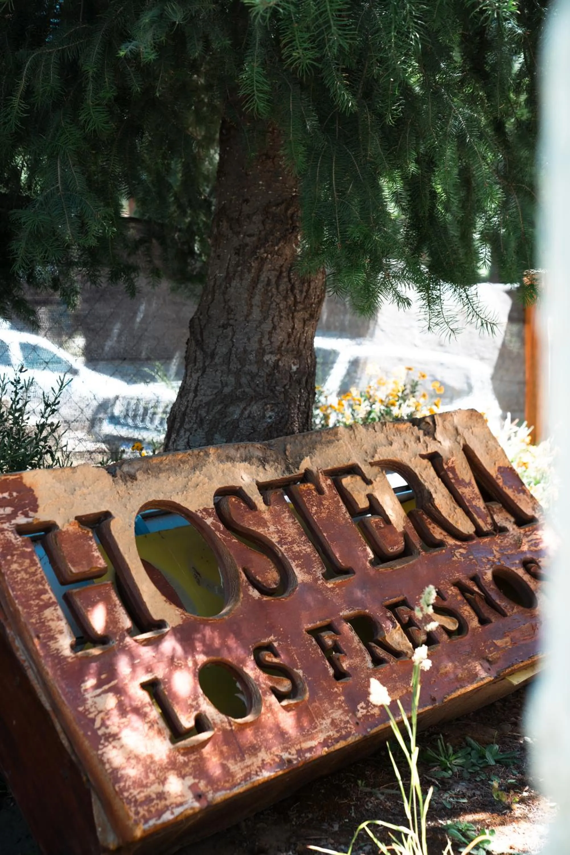 Property logo or sign in Los Fresnos