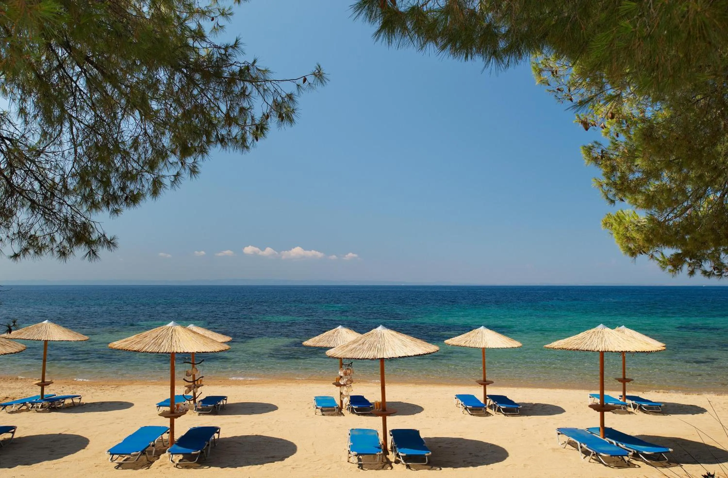 Beach in Blue Dolphin Hotel