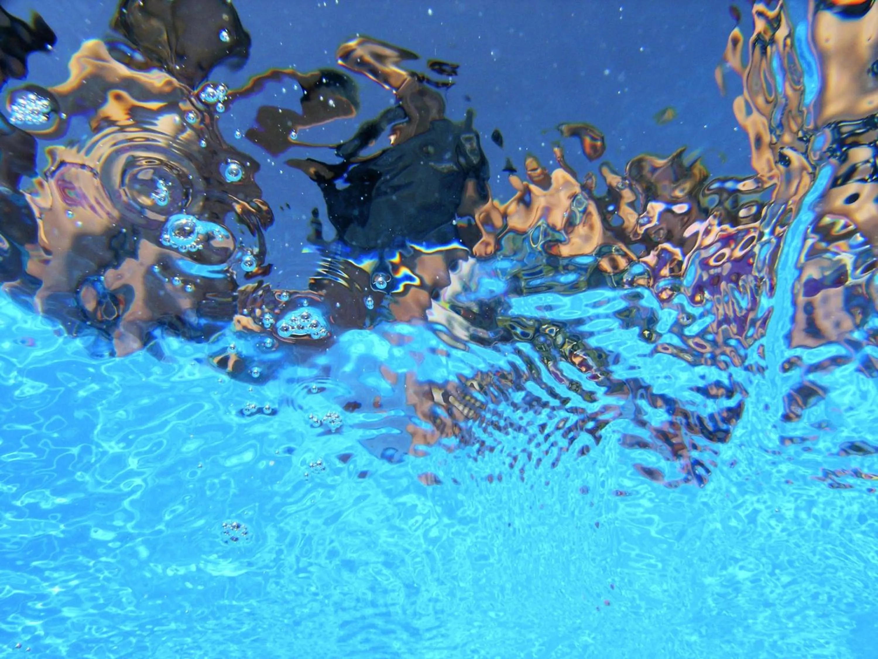 children in Blue Dolphin Hotel