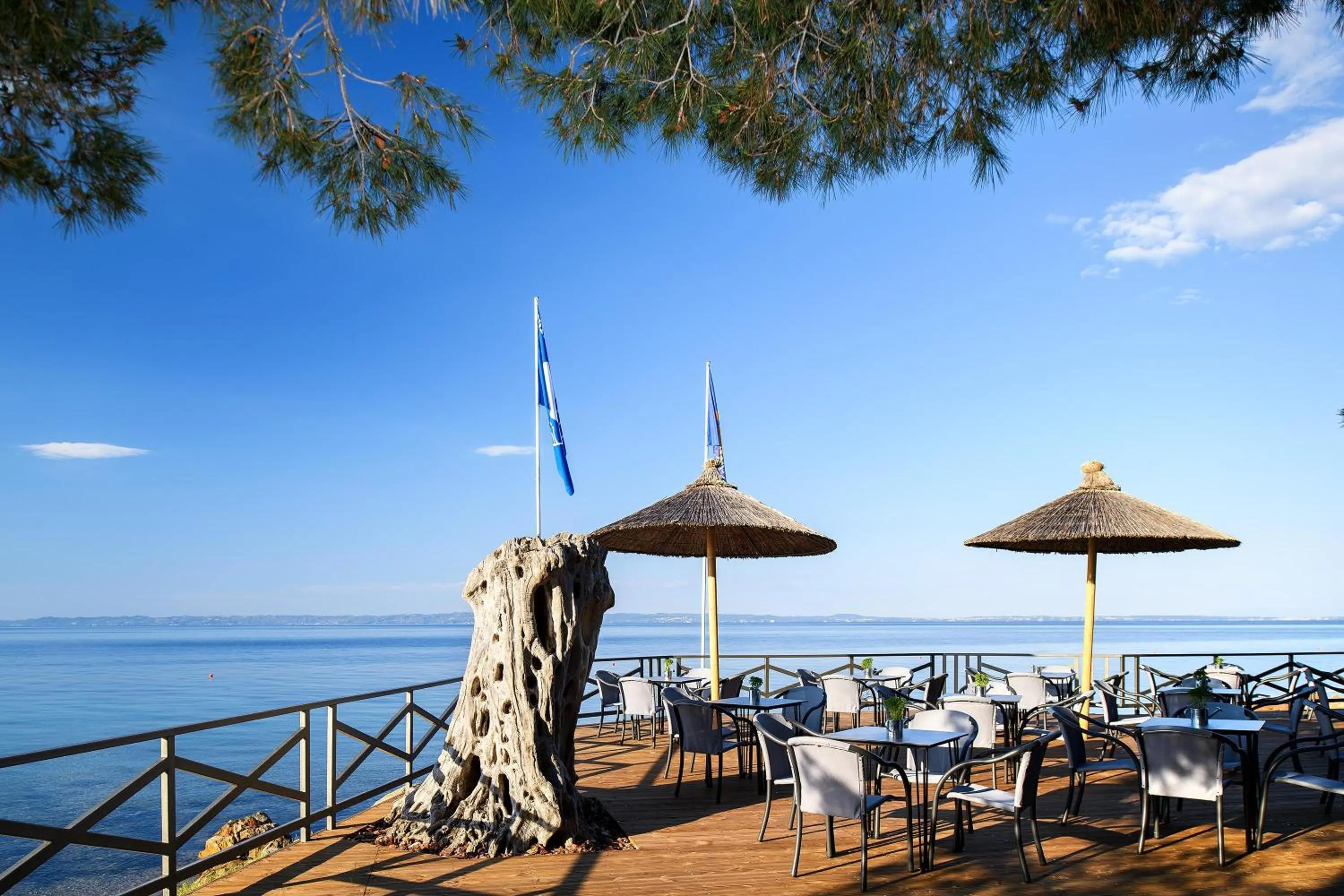 Restaurant/places to eat in Blue Dolphin Hotel