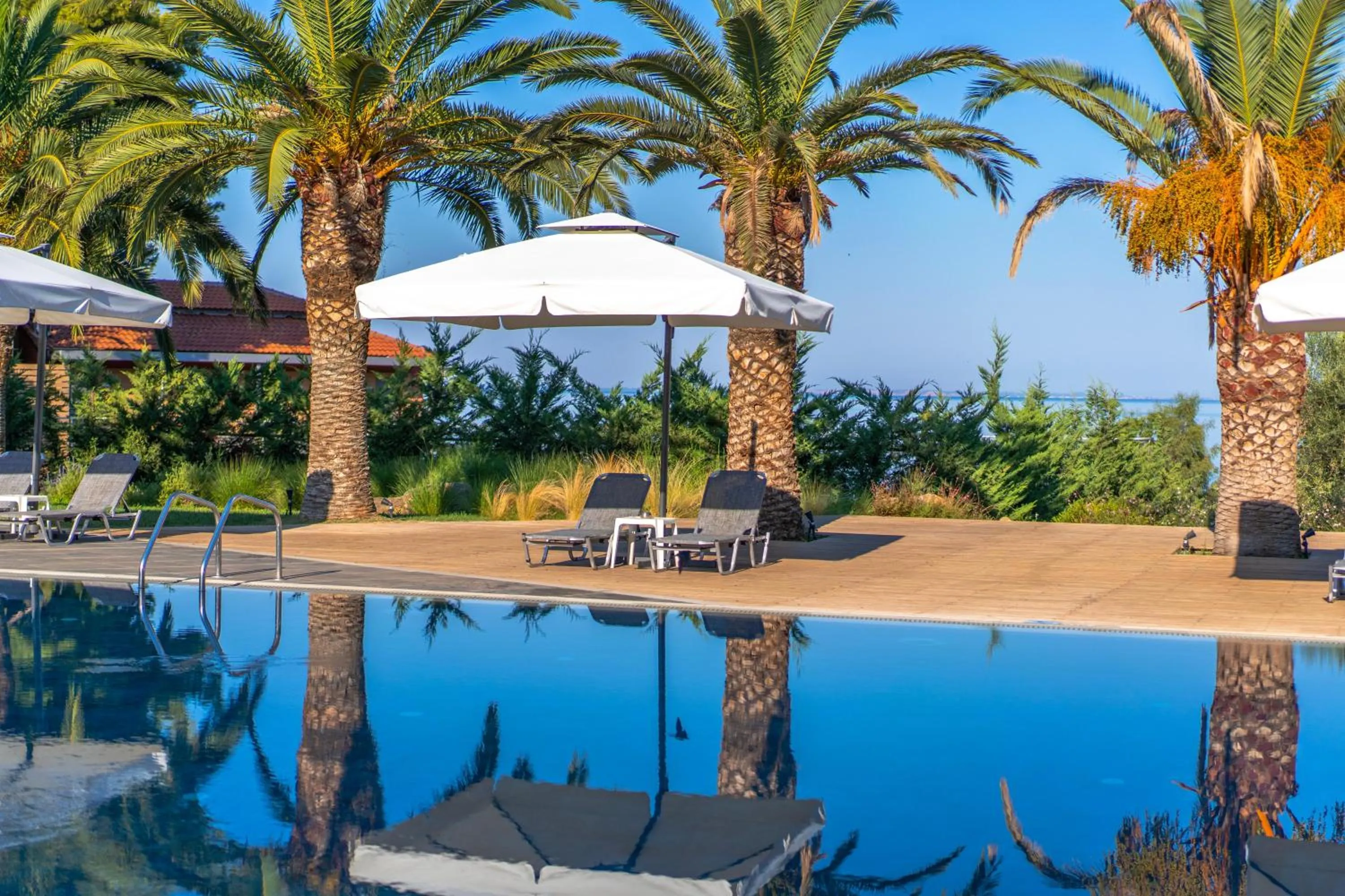 Swimming pool in Blue Dolphin Hotel
