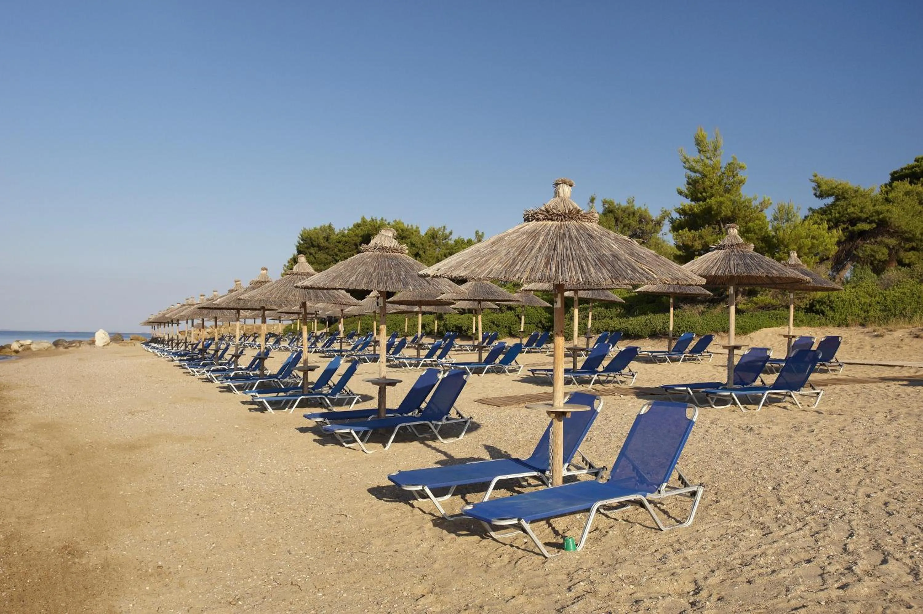 Beach in Blue Dolphin Hotel