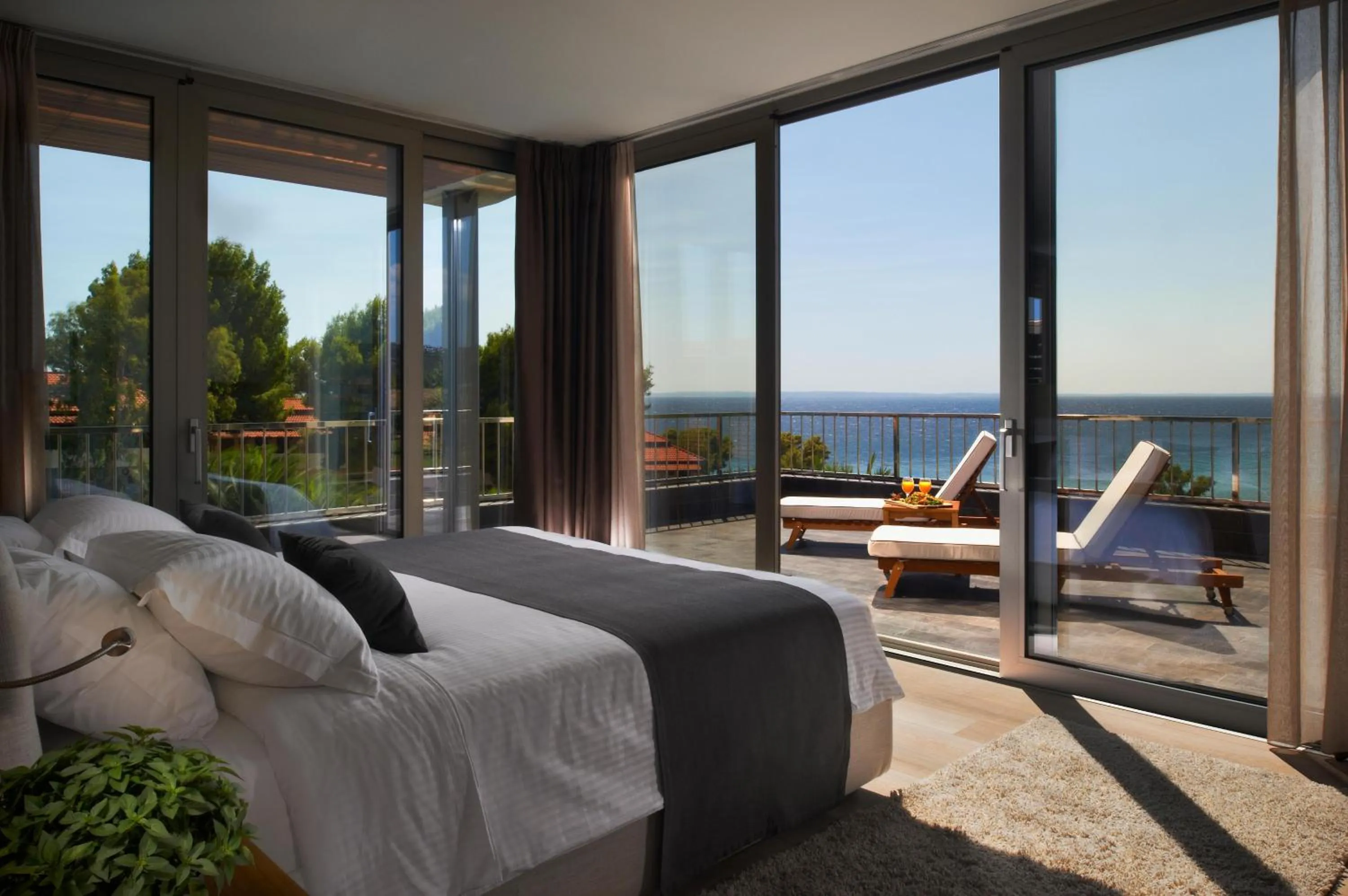 Photo of the whole room in Blue Dolphin Hotel