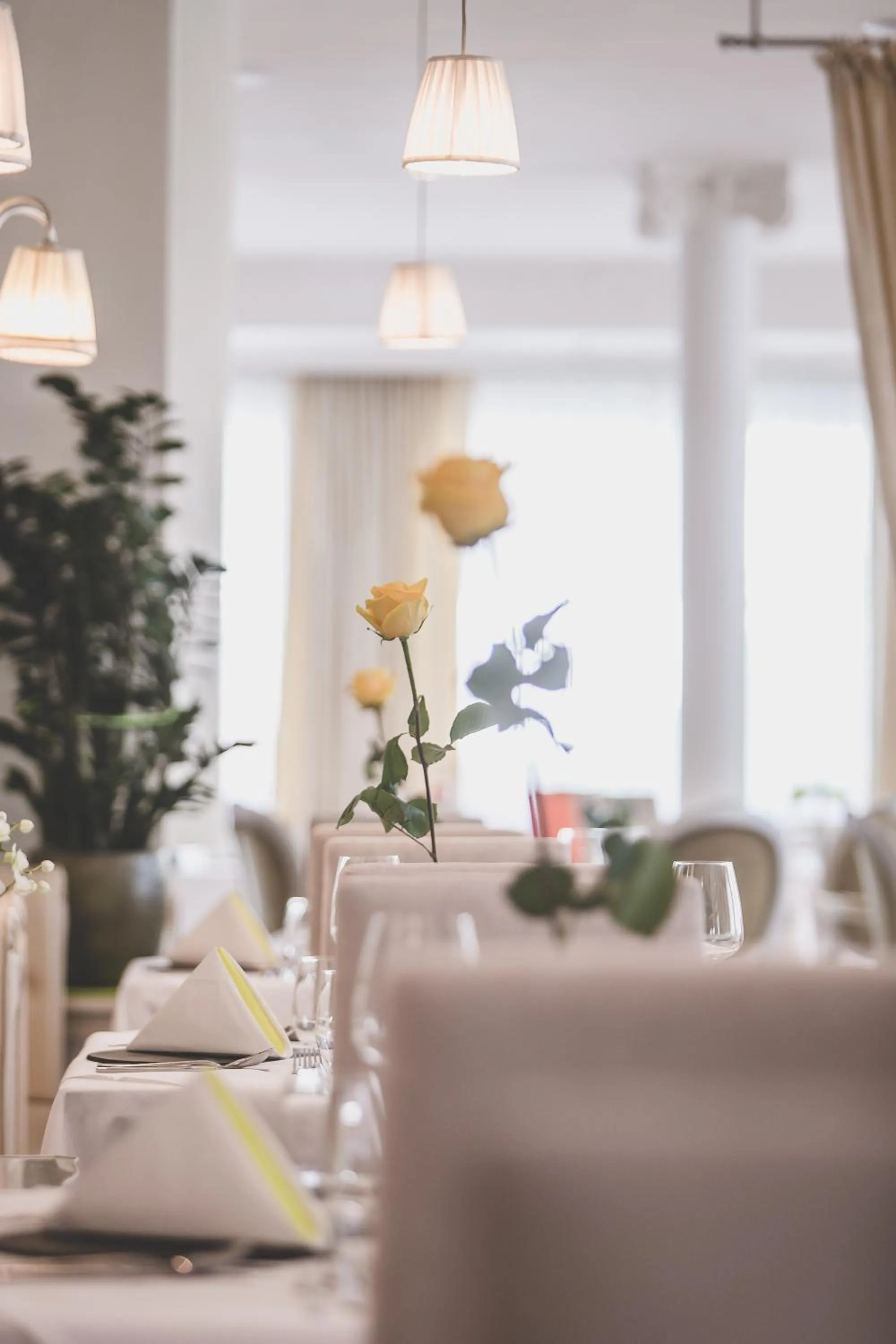 Restaurant/places to eat in Hotel Fameli