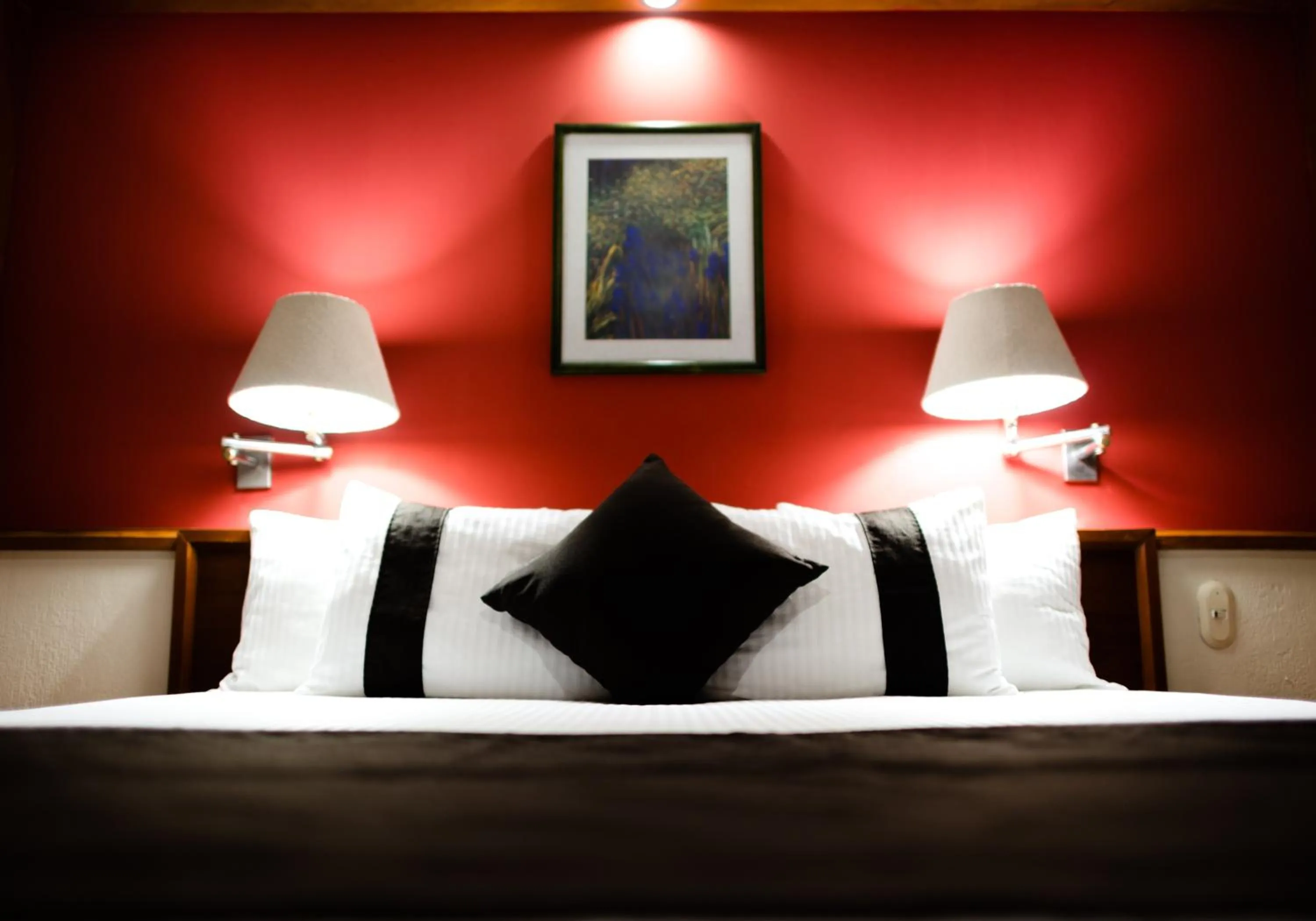 Photo of the whole room in Mision Express Celaya