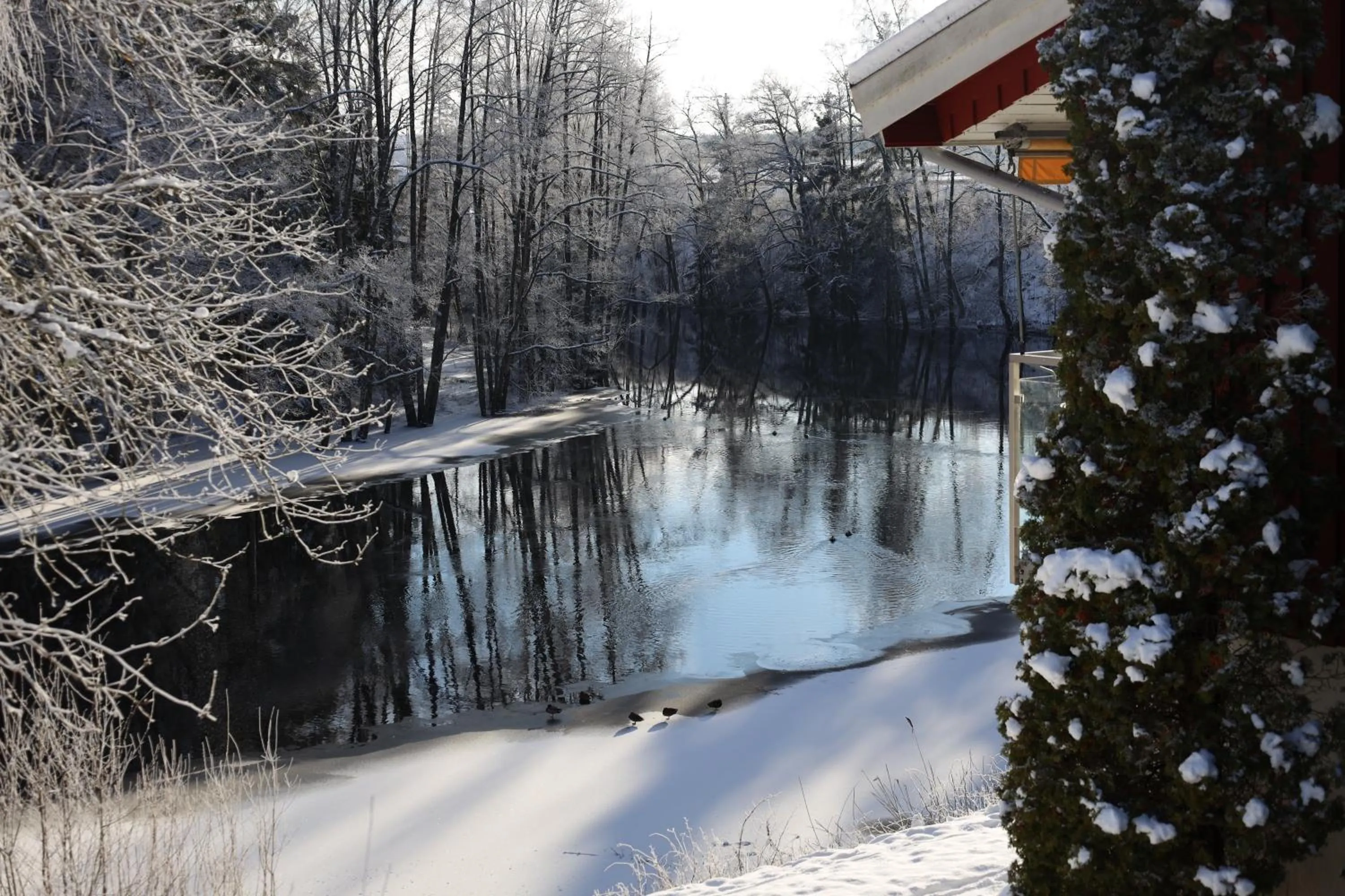 Winter in Hestraviken Hotell & Spa