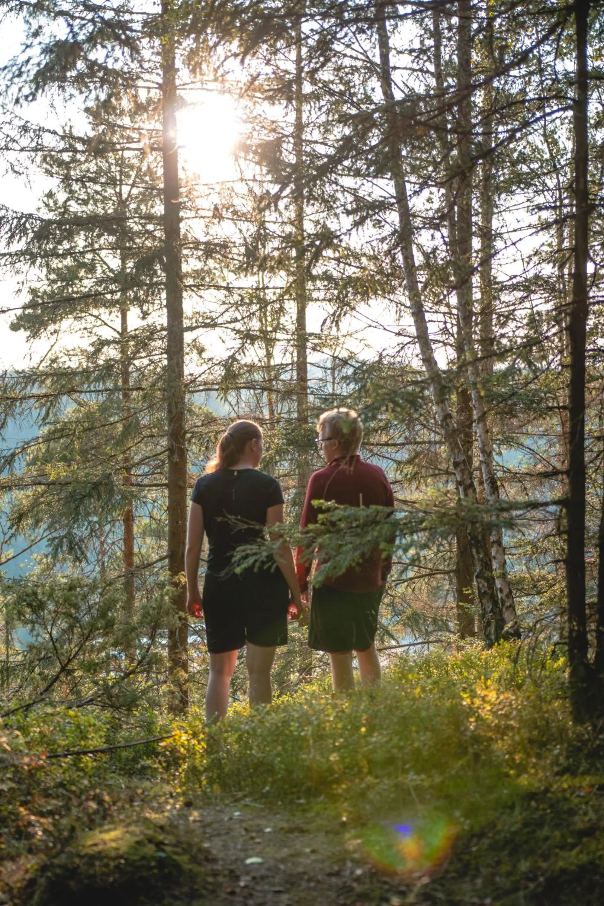 Natural landscape in Hestraviken Hotell & Spa