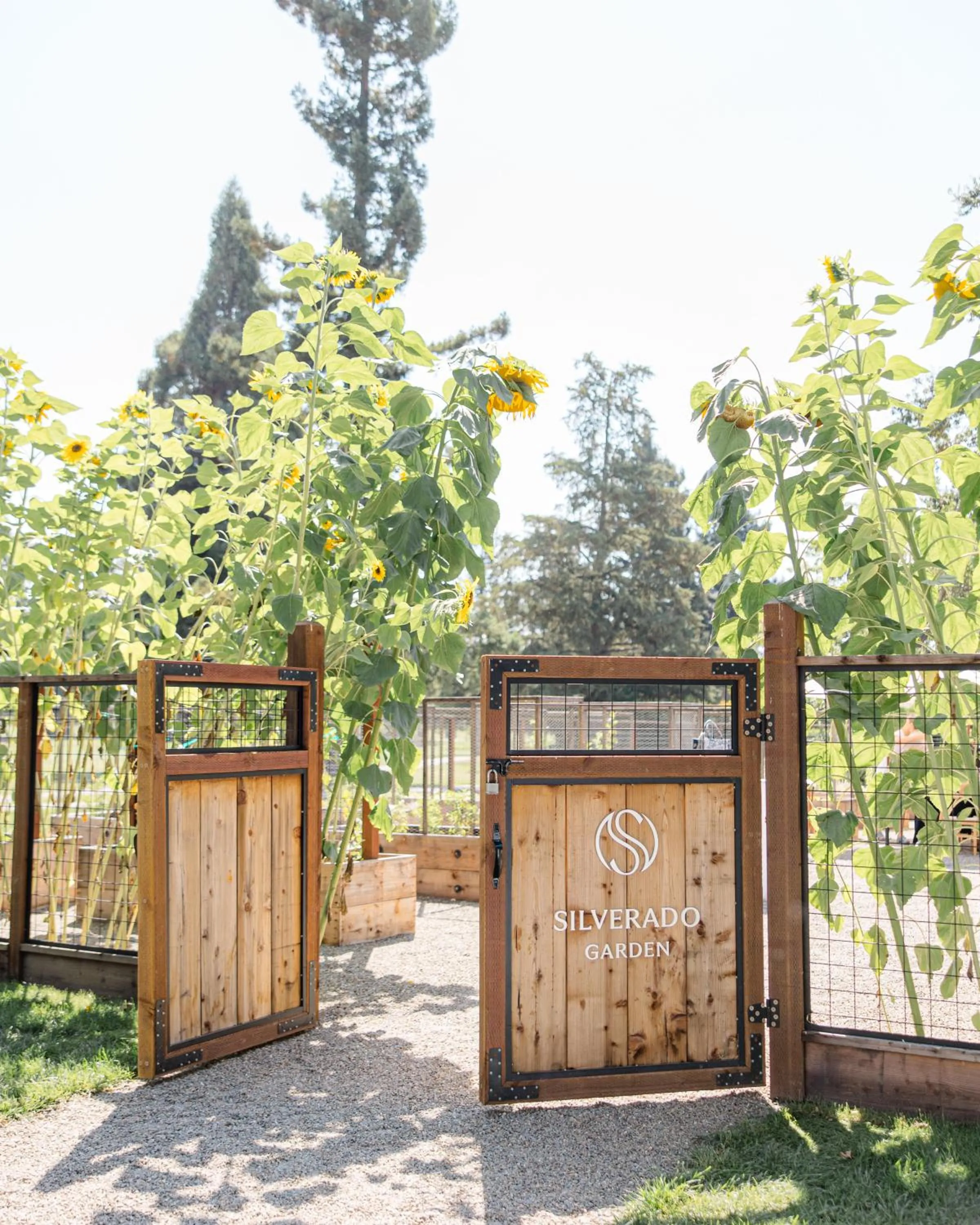Garden in Silverado Resort