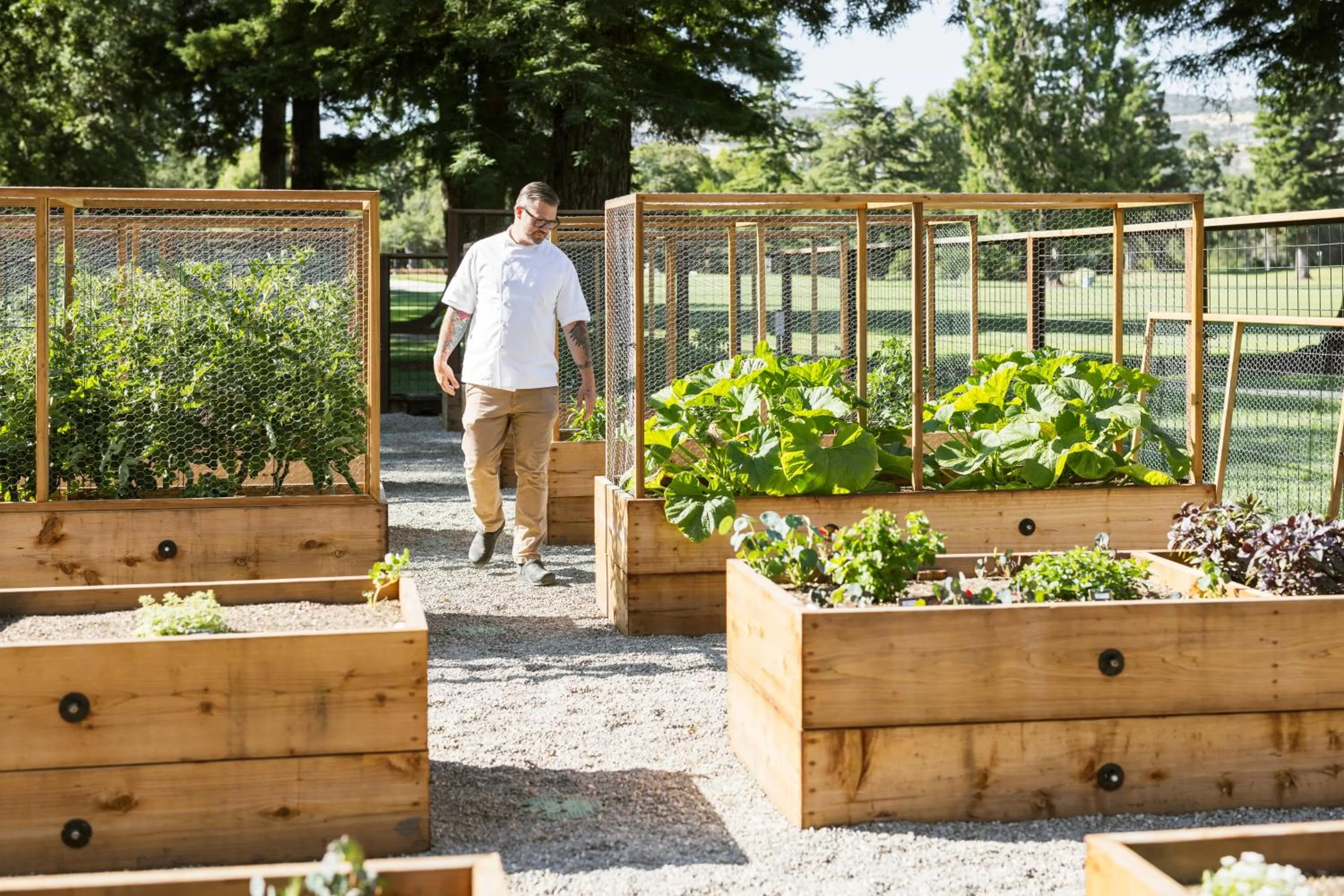 Garden in Silverado Resort