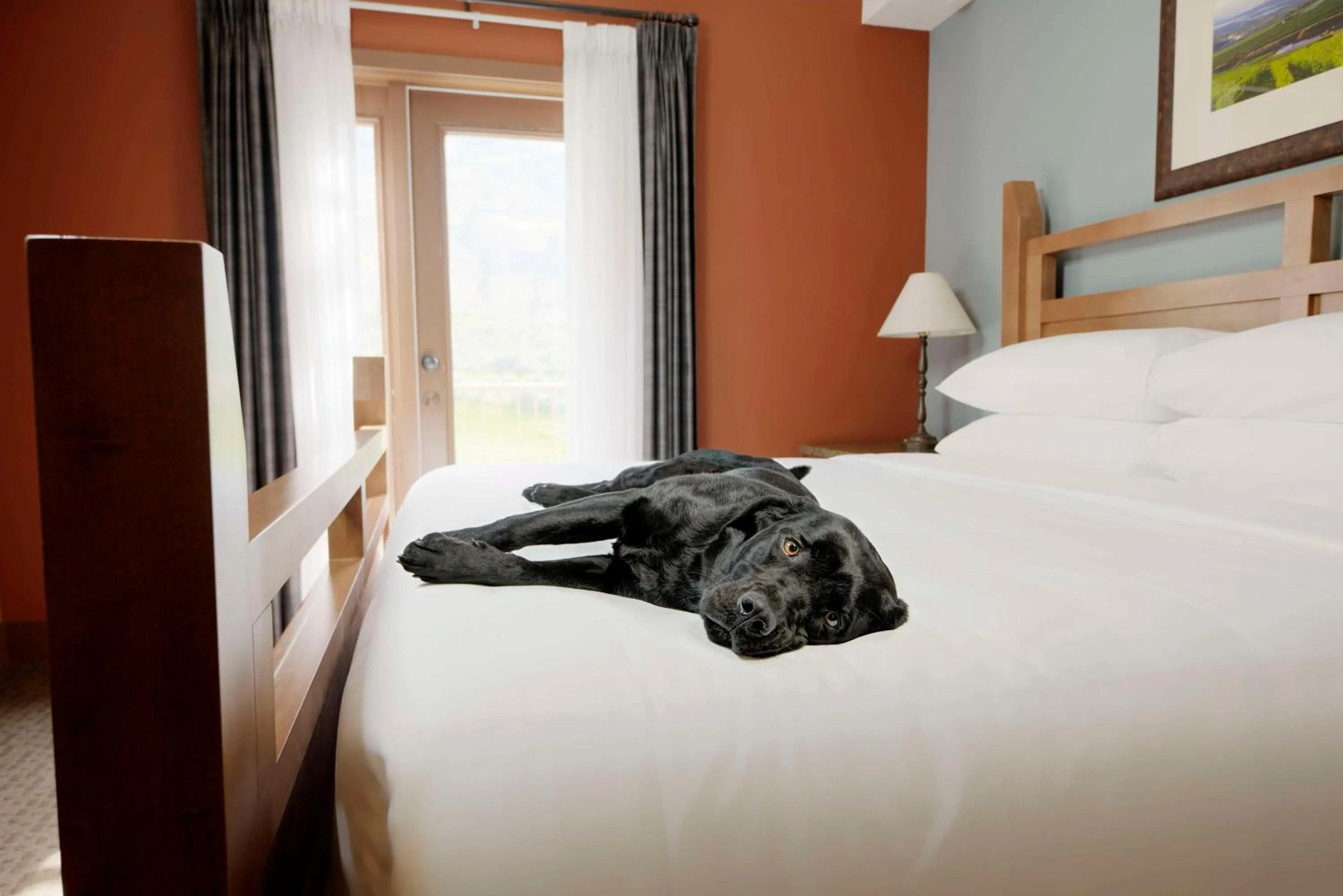 Bedroom, Bed in Spirit Ridge, in The Unbound Collection by Hyatt