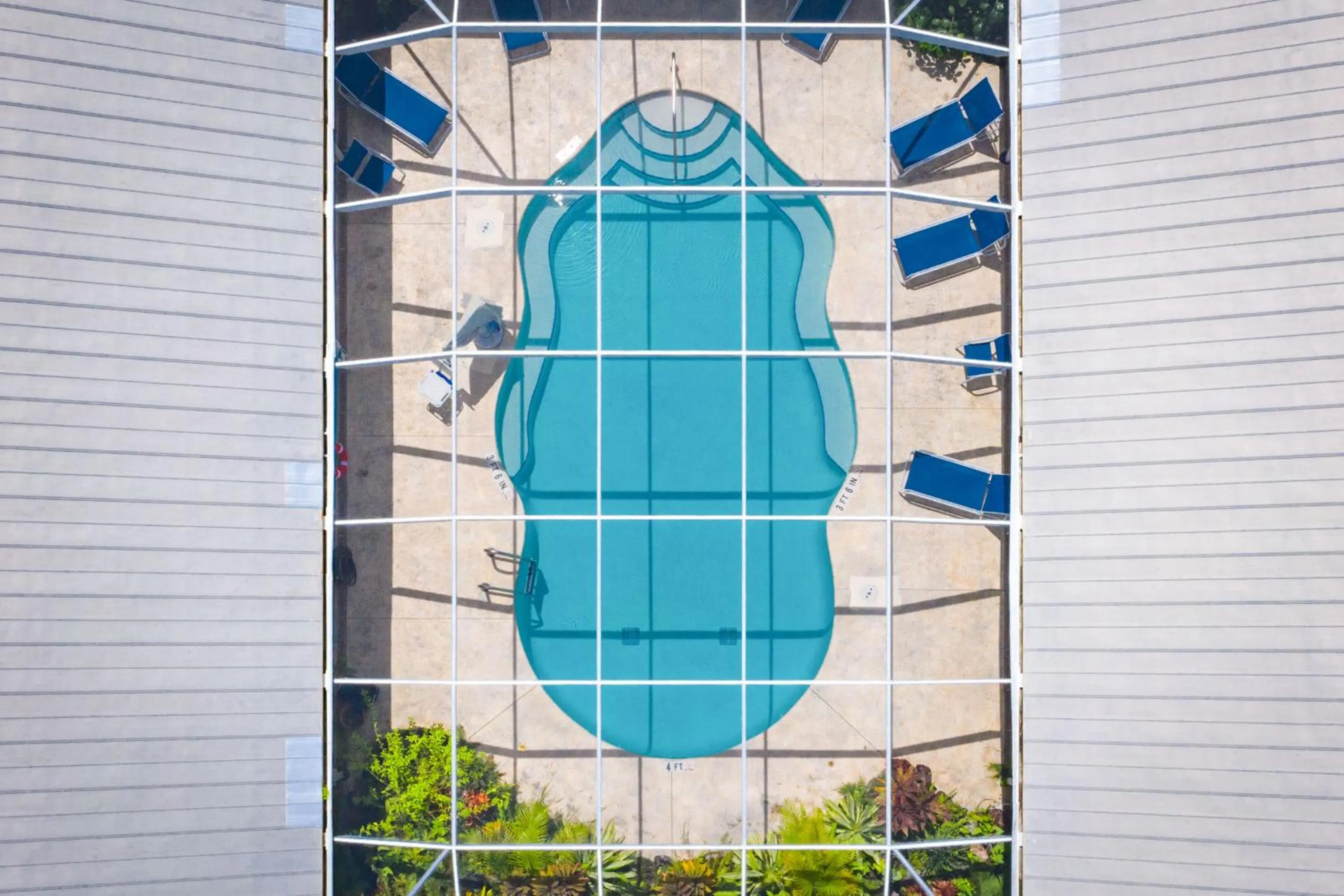 Swimming pool in Ivey House Everglades Adventures Hotel