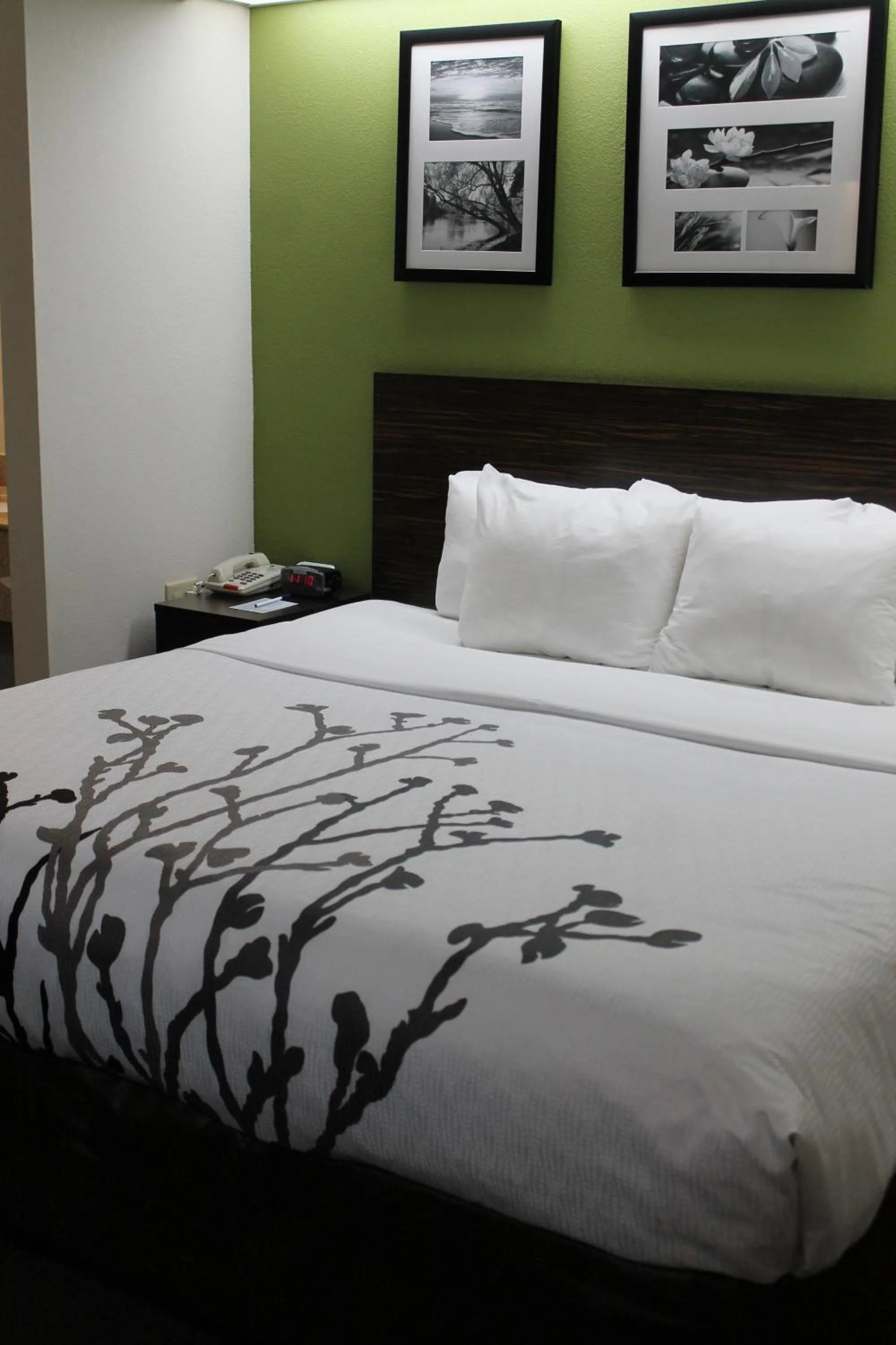 Bed in Sleep Inn Bryson City - Cherokee Area