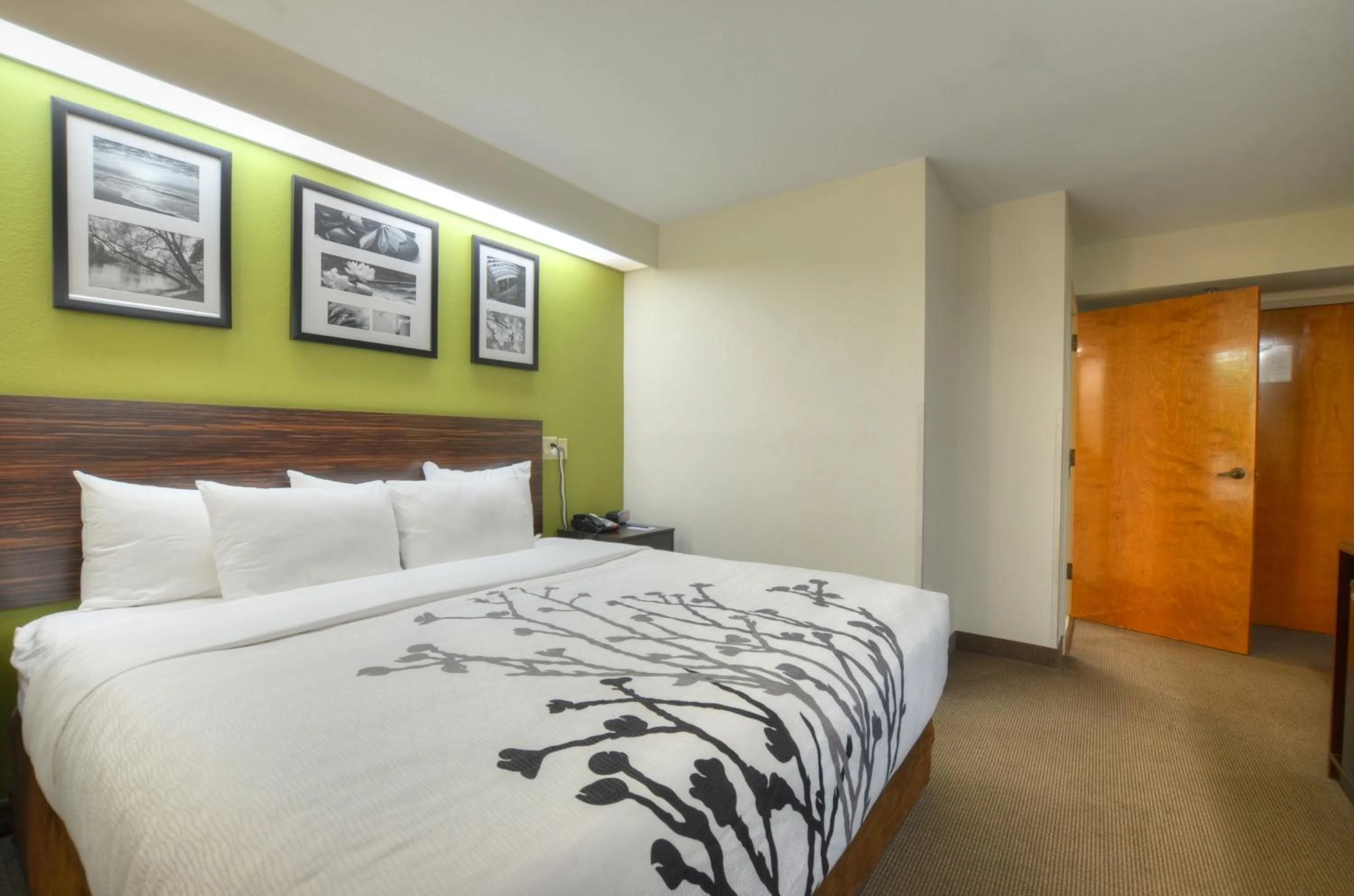 Bed in Sleep Inn Bryson City - Cherokee Area