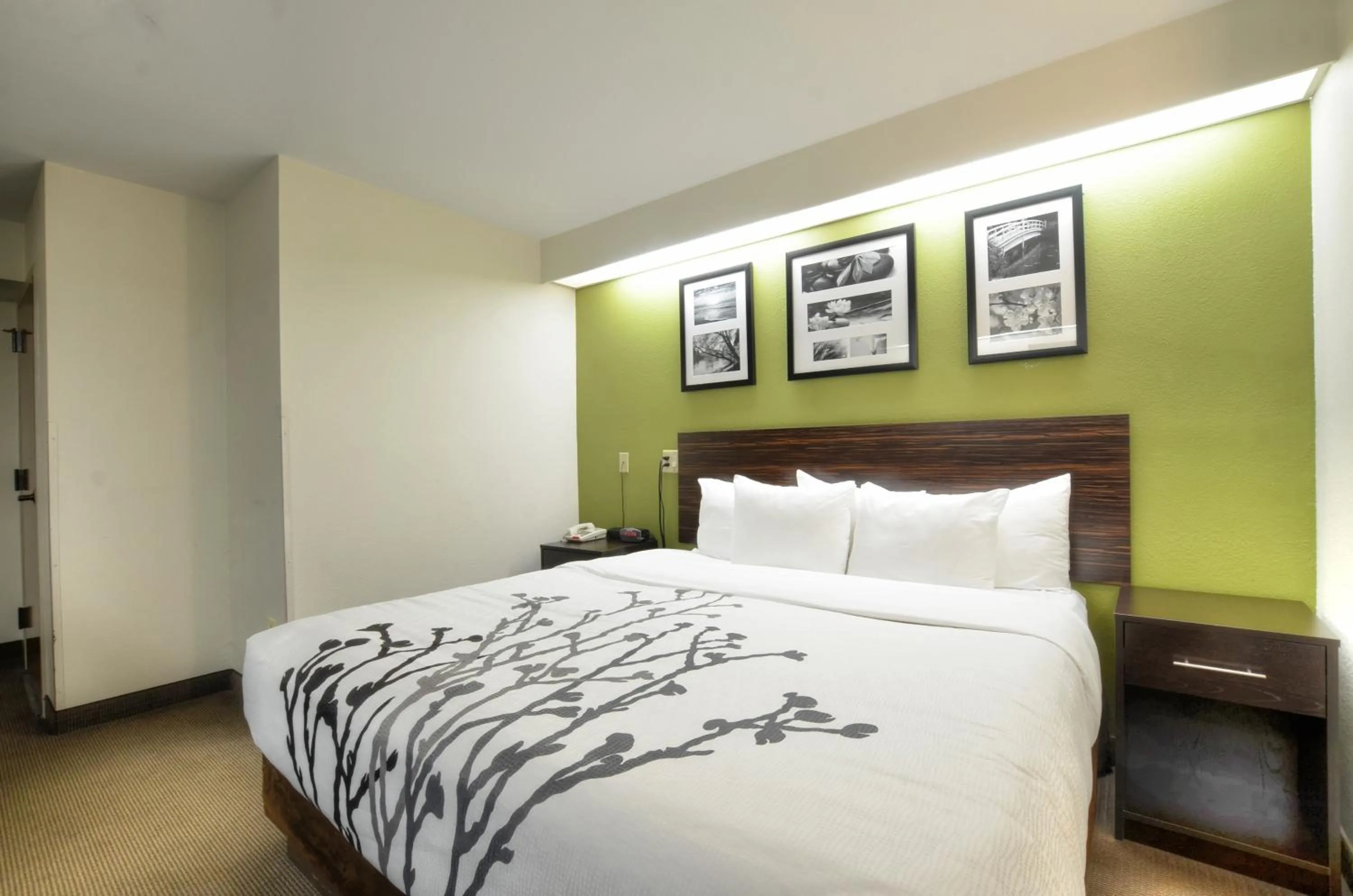 Bed in Sleep Inn Bryson City - Cherokee Area