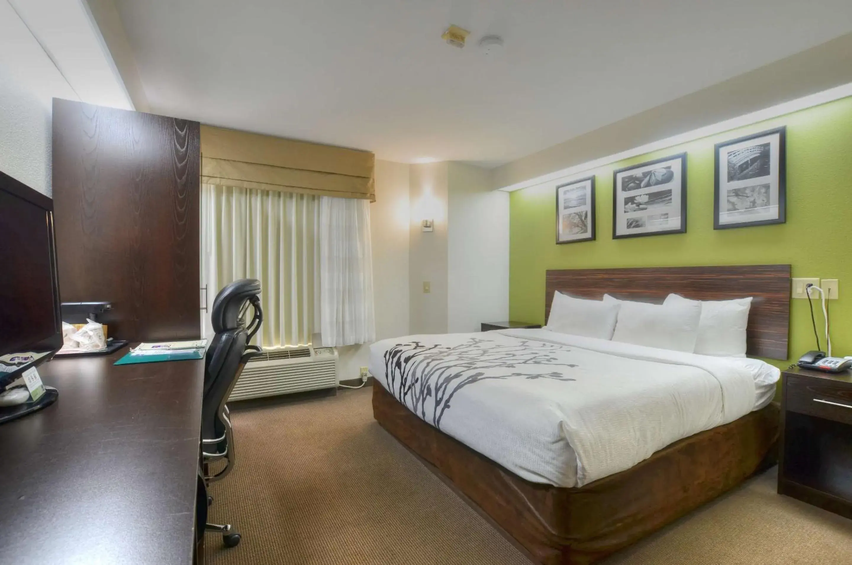 King Room in Sleep Inn Bryson City - Cherokee Area King Room in Sleep Inn Bryson City - Cherokee Area