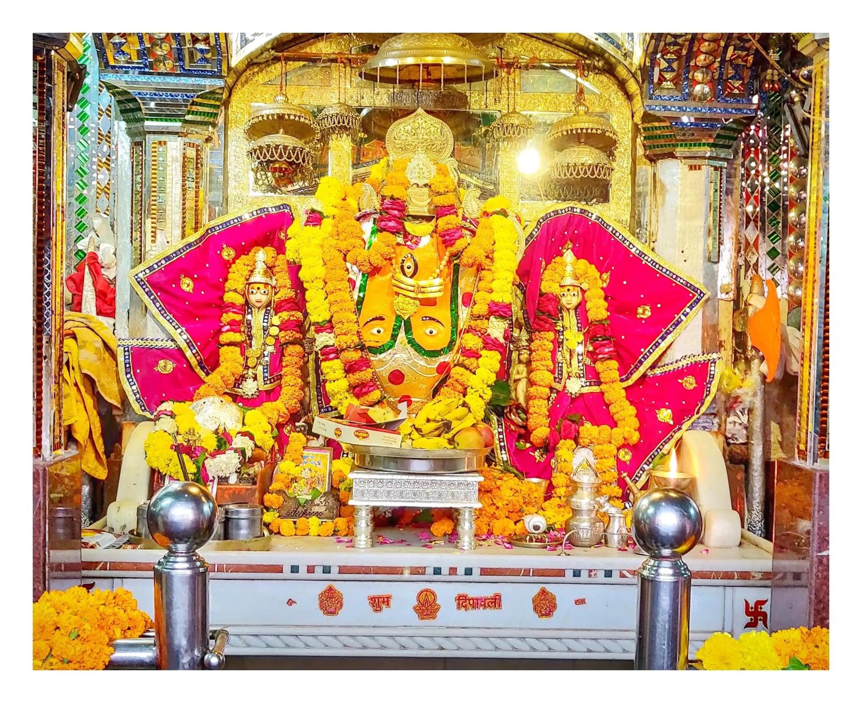 Other in Ranthambore Tiger Home