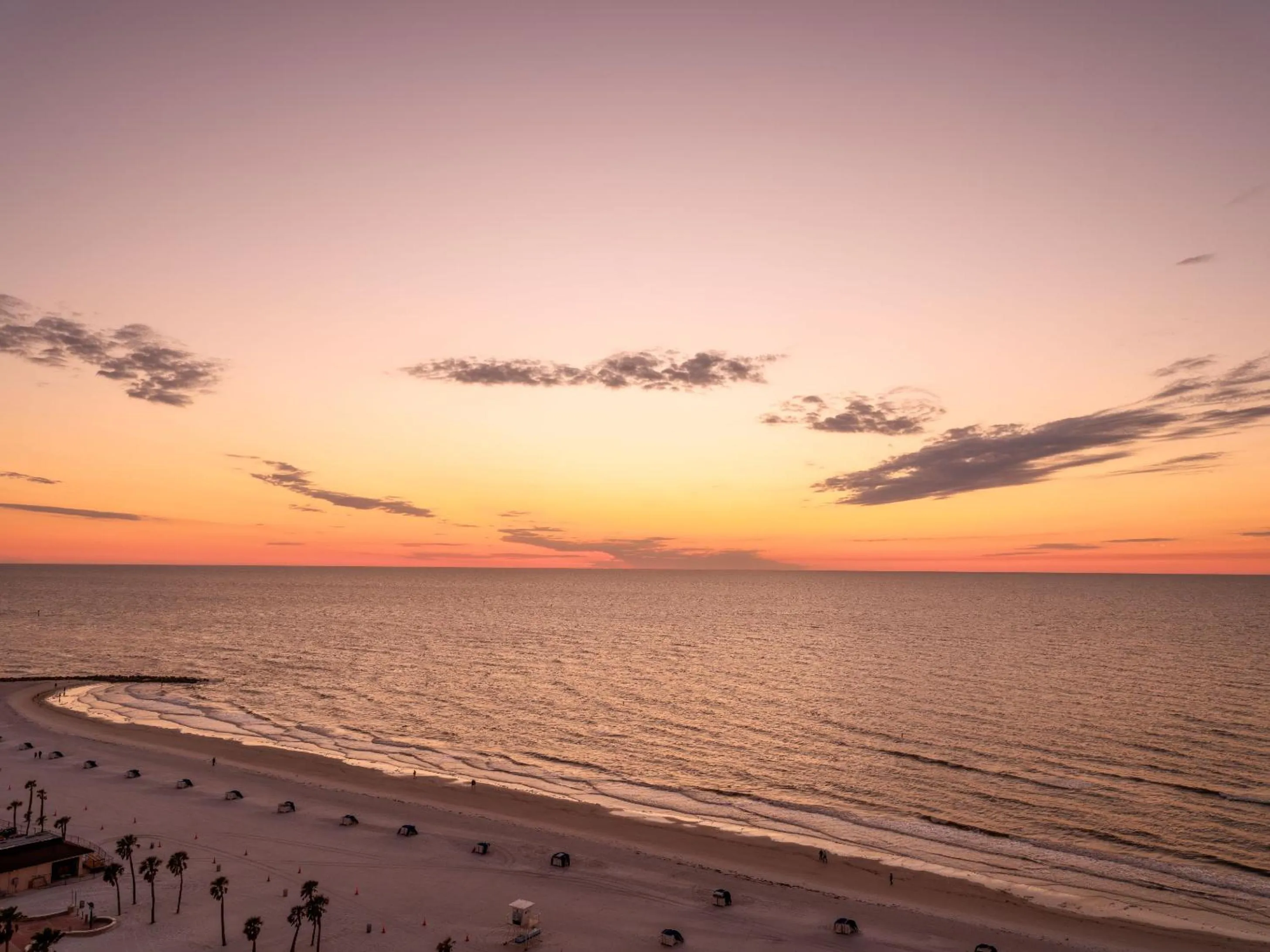 Natural landscape in Hyatt Regency Clearwater Beach Resort & Spa