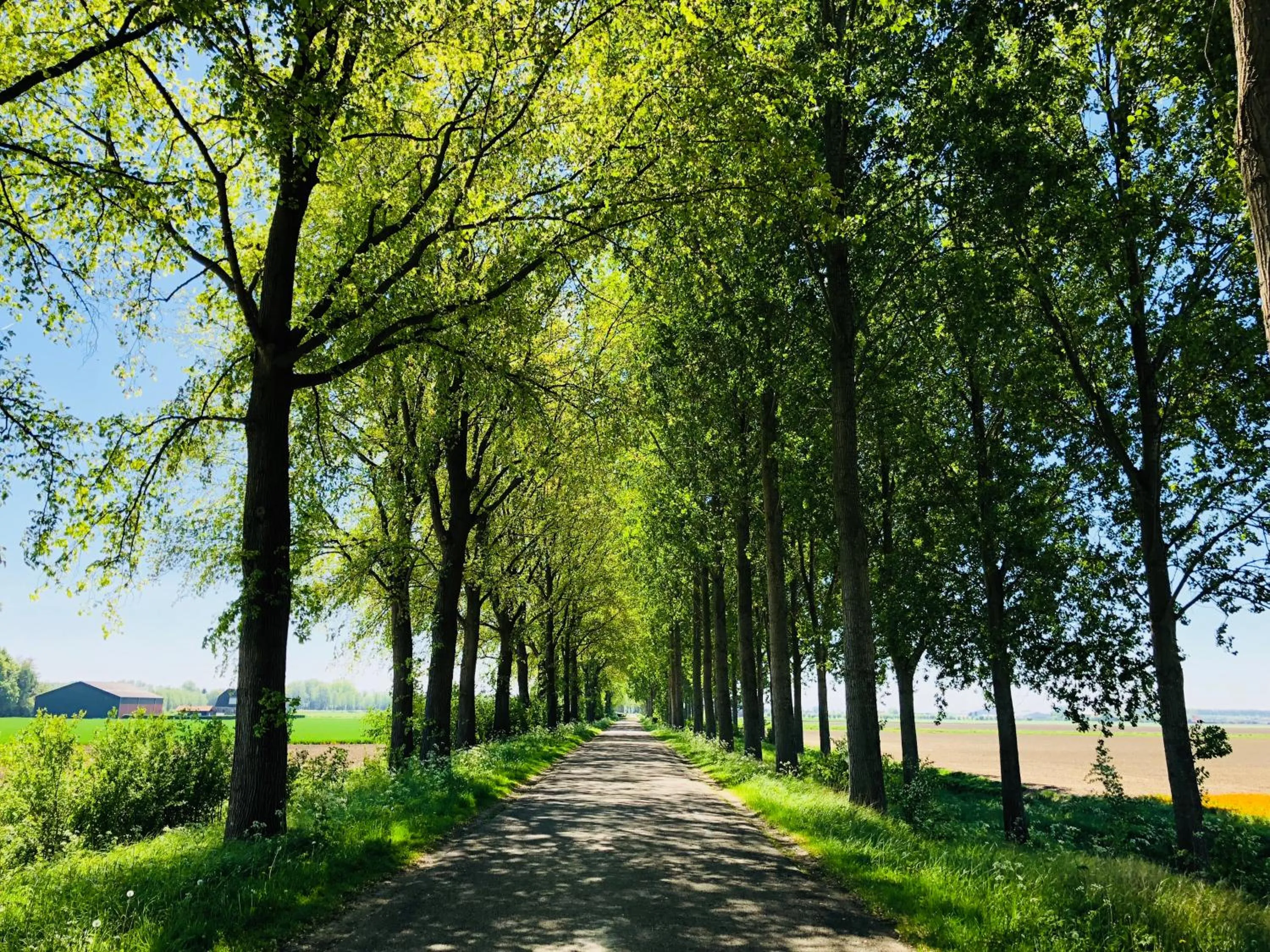 Slapen bij de Zeeuwse Lala