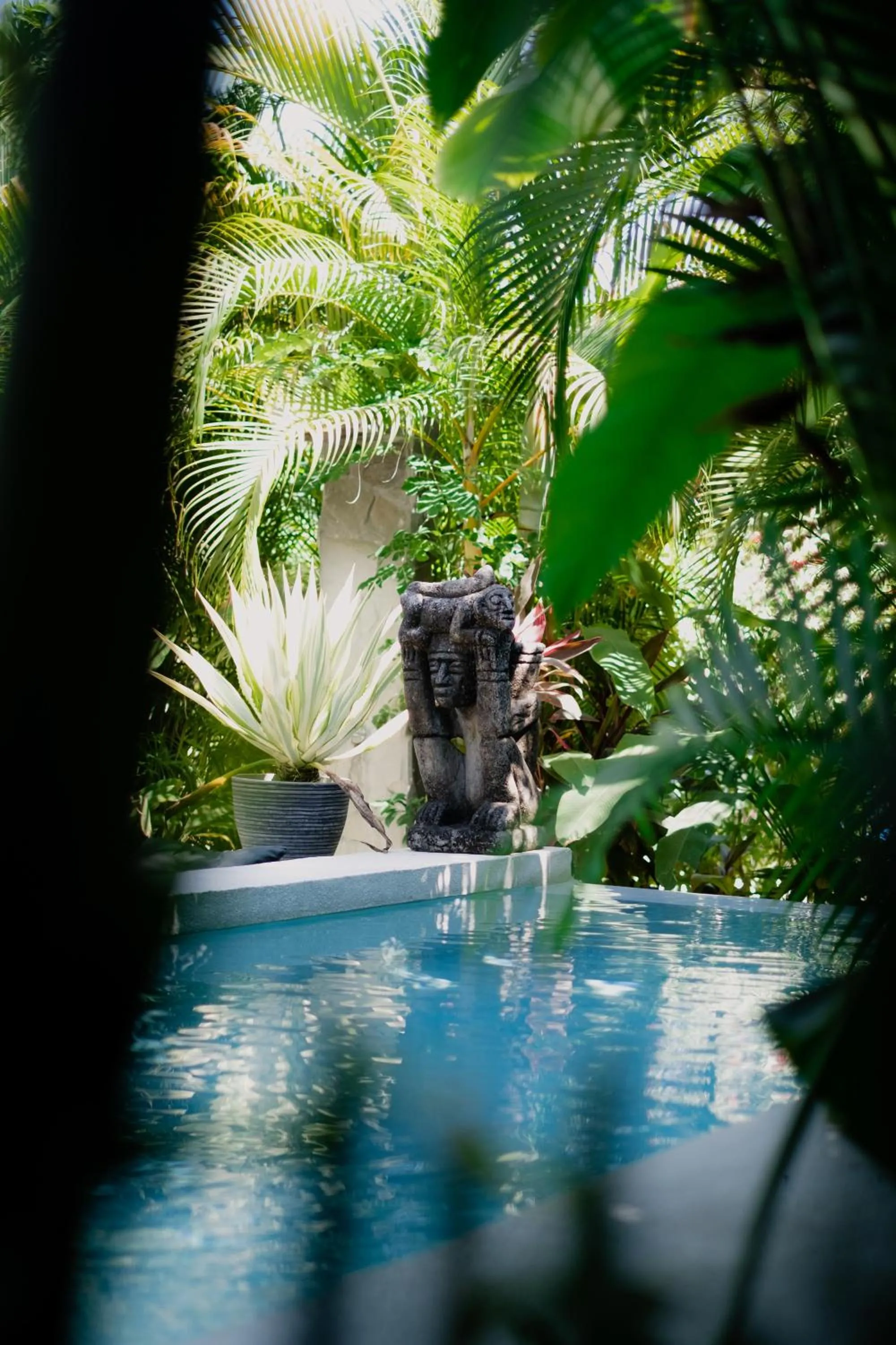 Swimming pool in Lua Villas