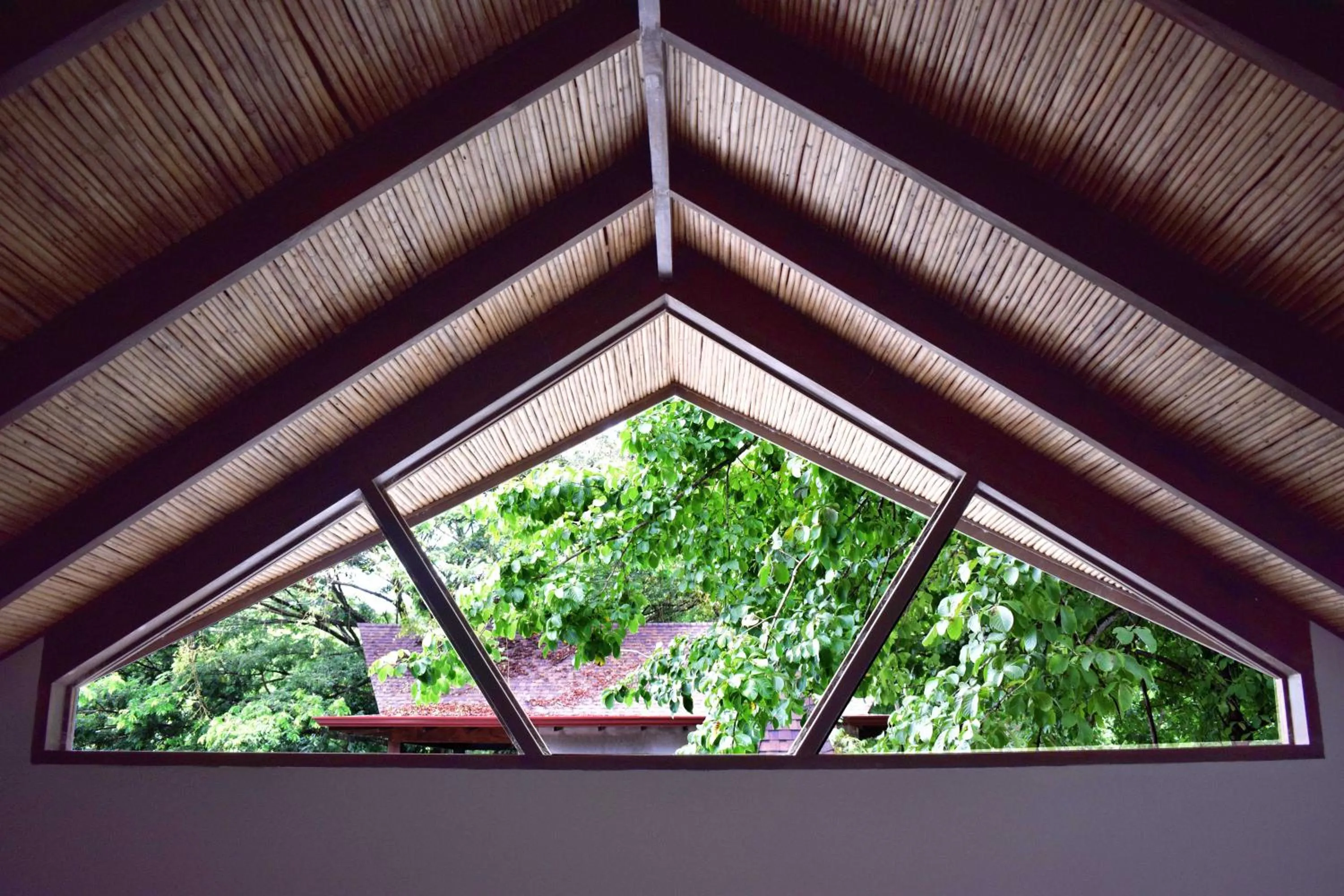 Garden view in Lua Villas
