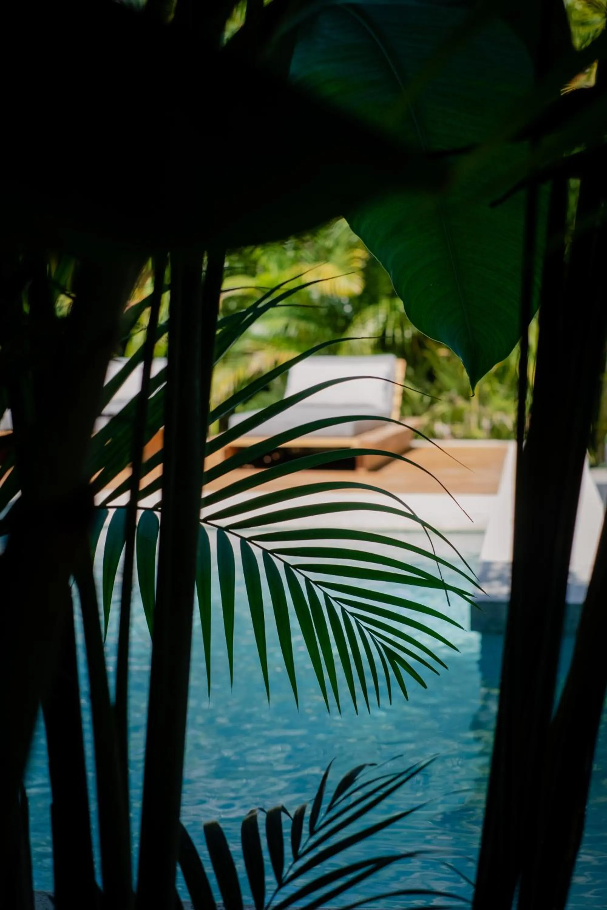 Garden in Lua Villas