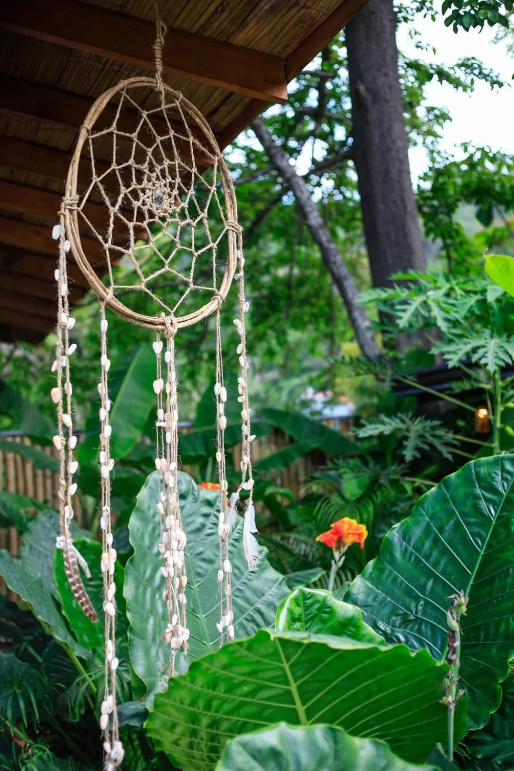 Property building in Lua Villas