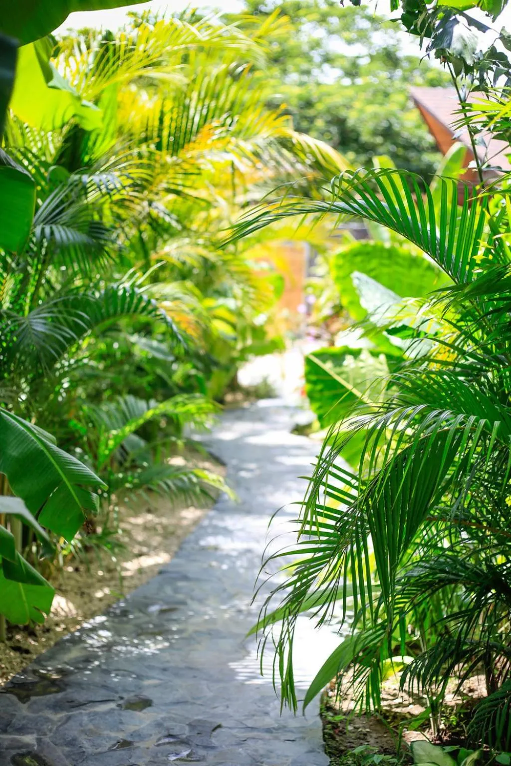 Garden in Lua Villas