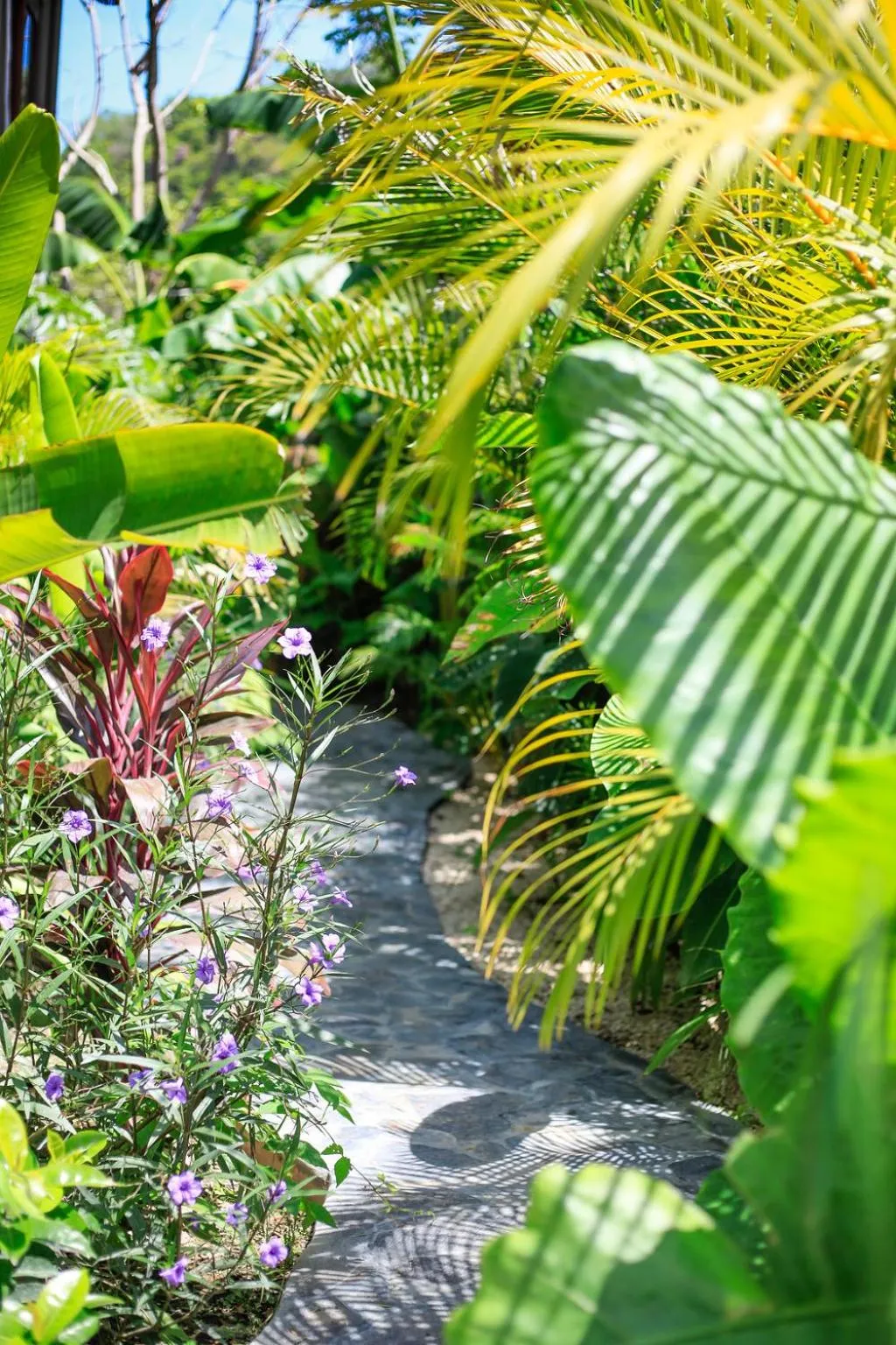 Garden in Lua Villas