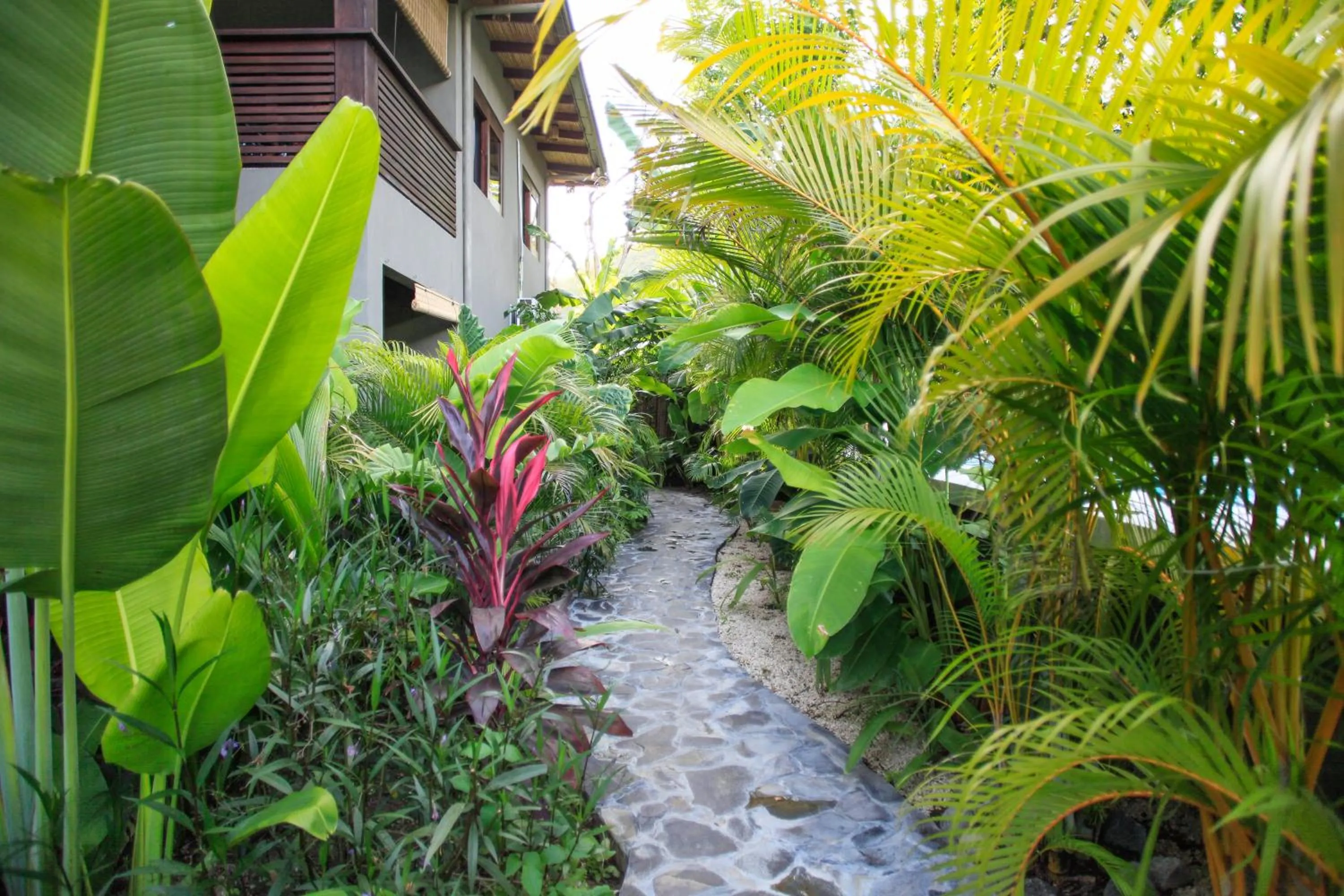 Garden in Lua Villas