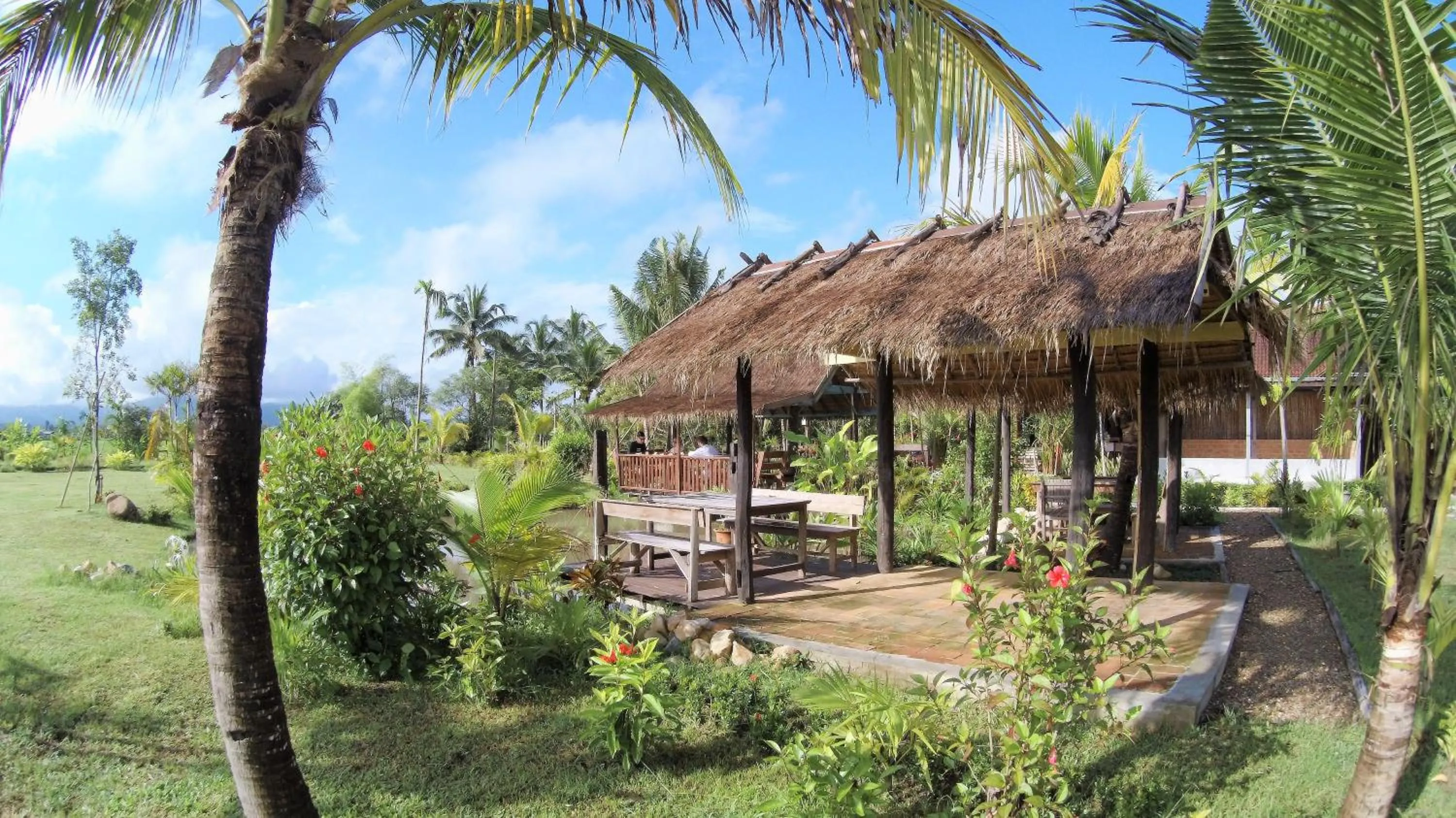 Garden in Le Cocotier