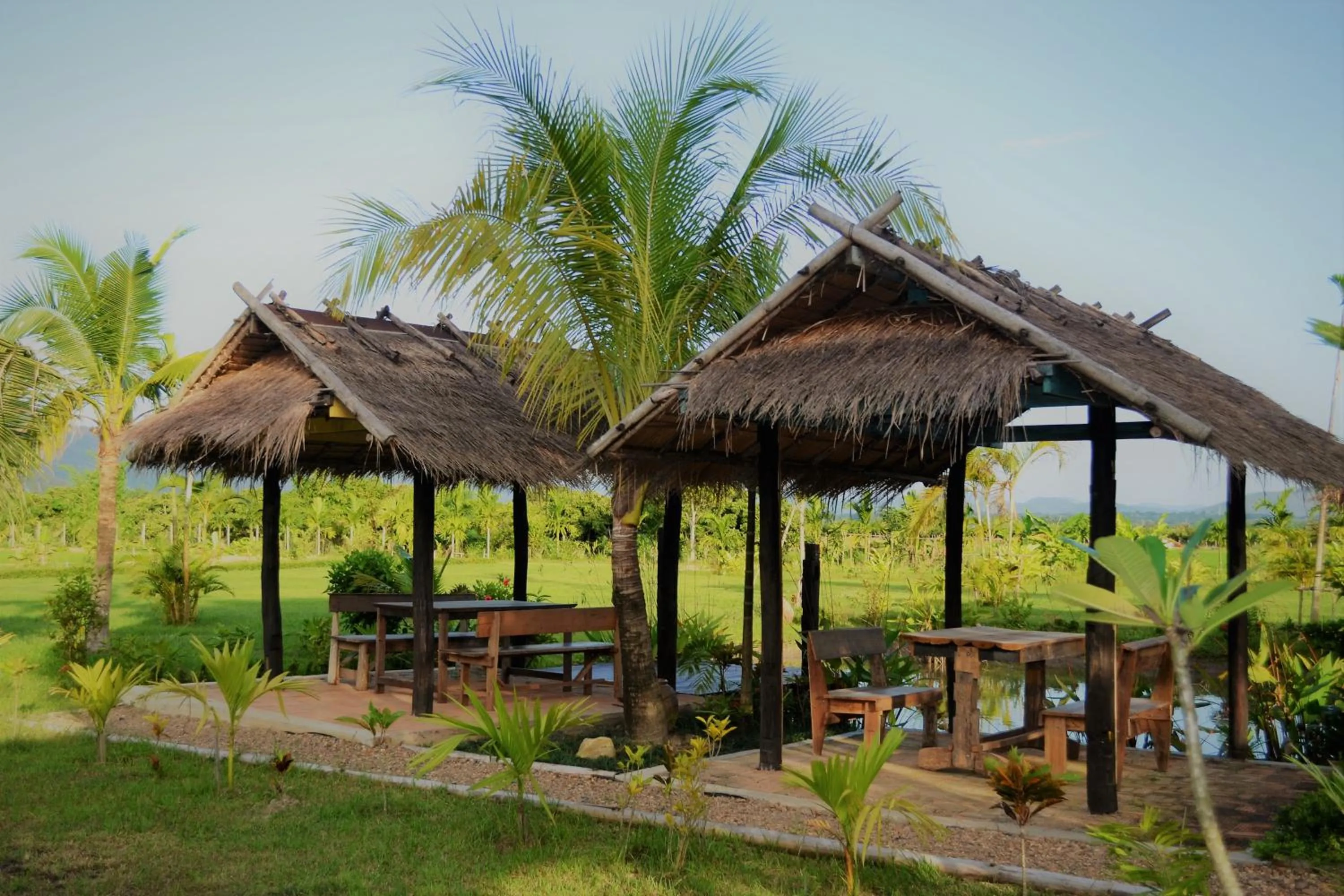 Balcony/Terrace in Le Cocotier