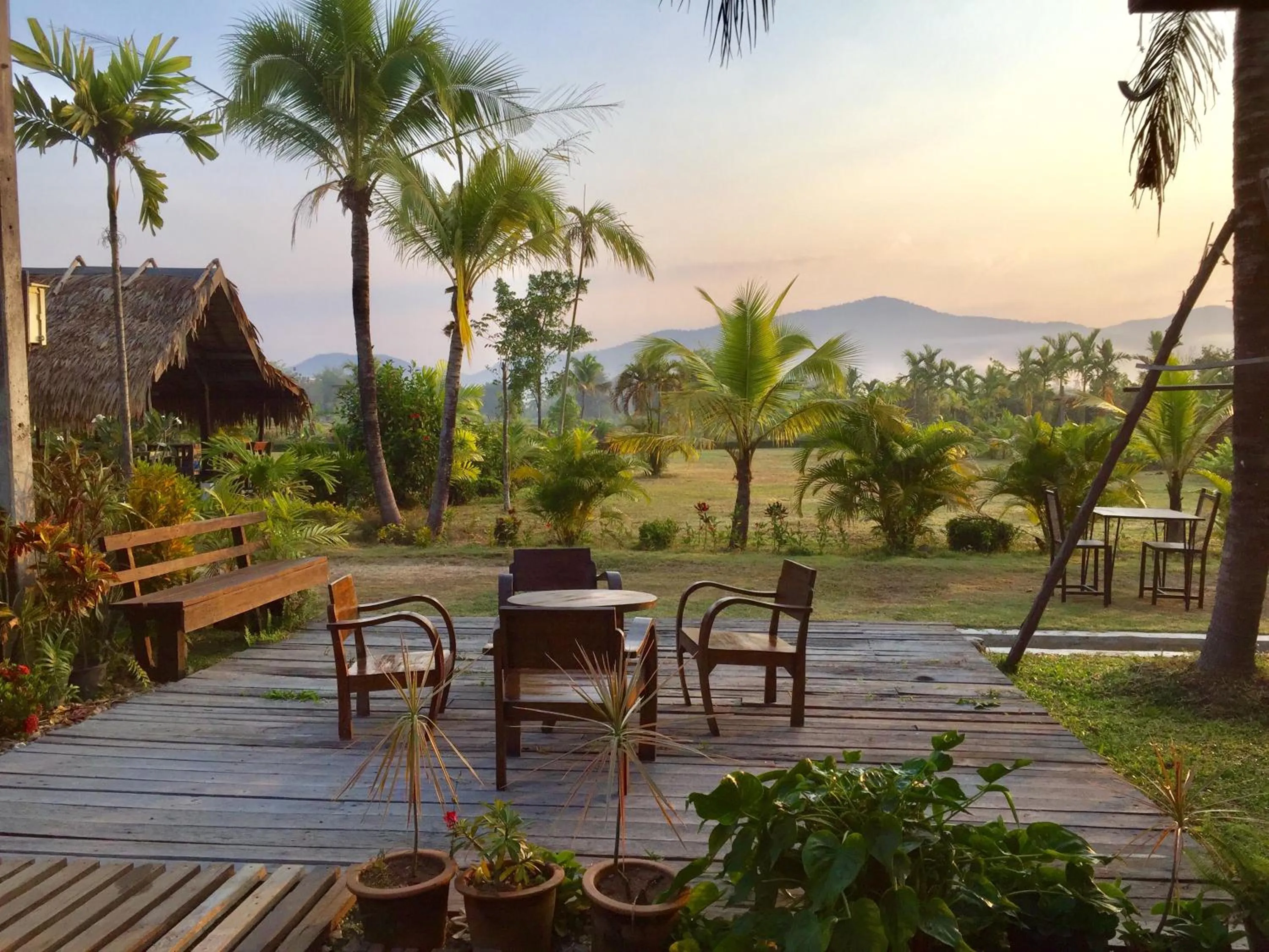 Garden in Le Cocotier