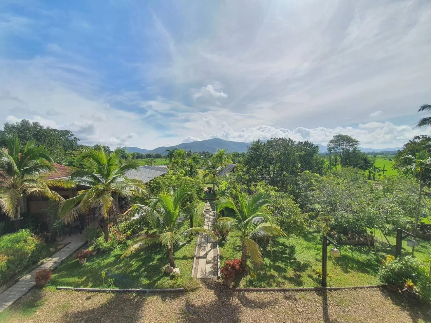 Garden in Le Cocotier